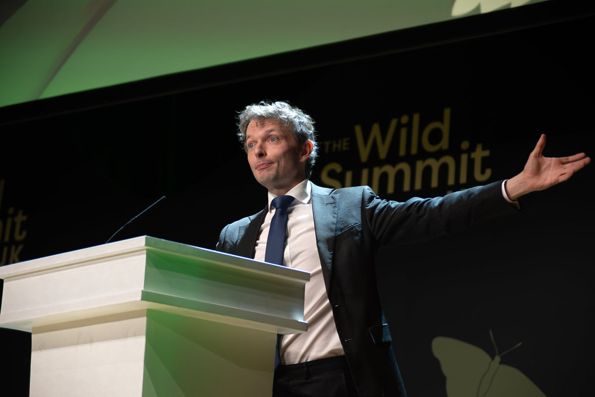 Photography from the Wild Summit 2026 at Bristol Beacon