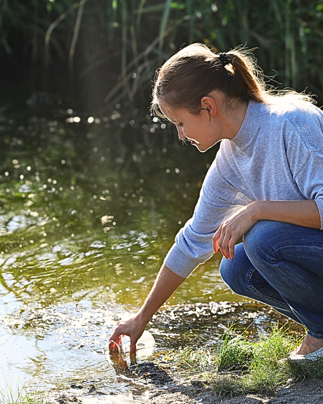 Jackie's environmental blog – have you heard about citizen science?