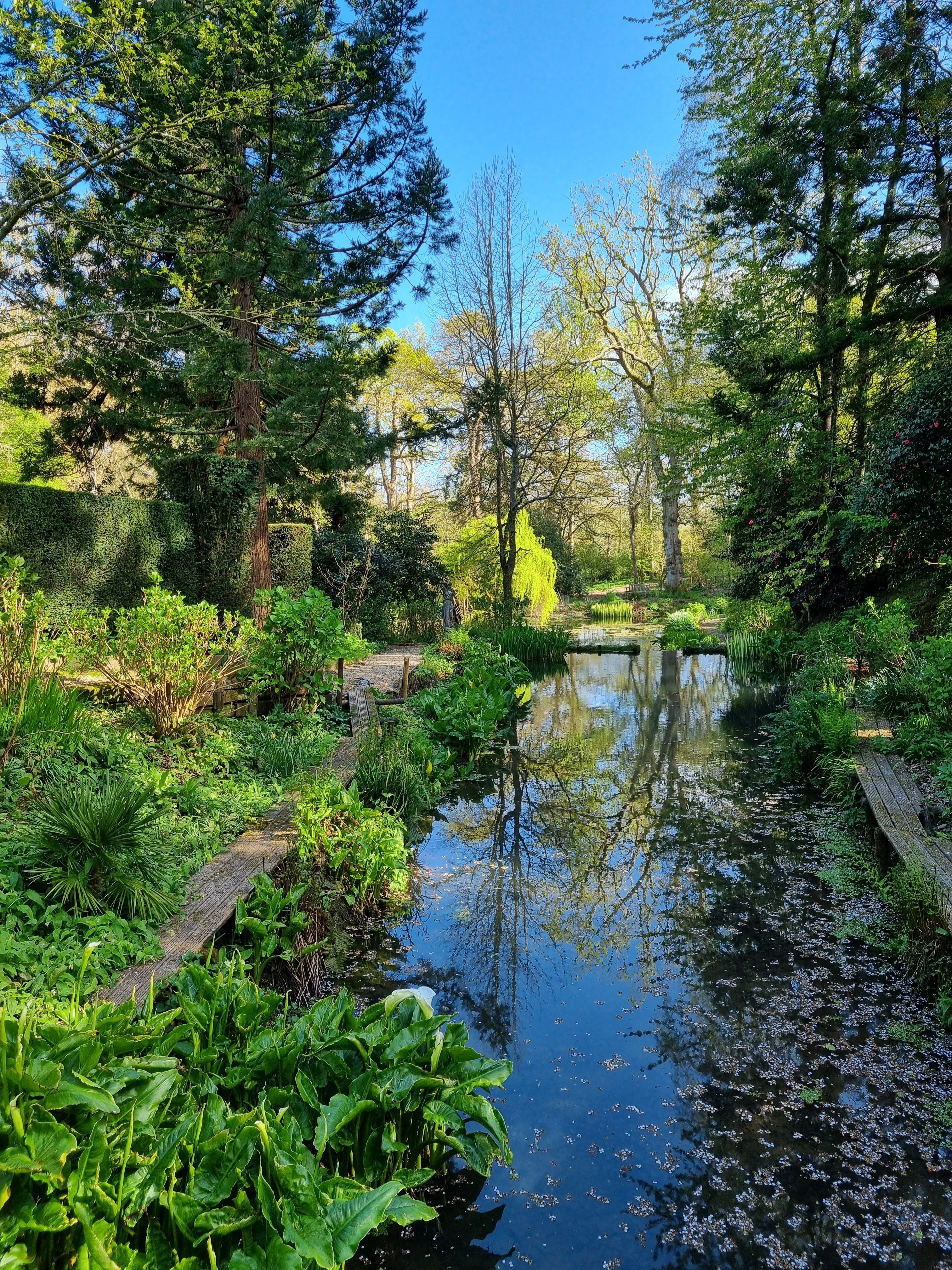 Reflections in the water in the gardens of Chideock Manor