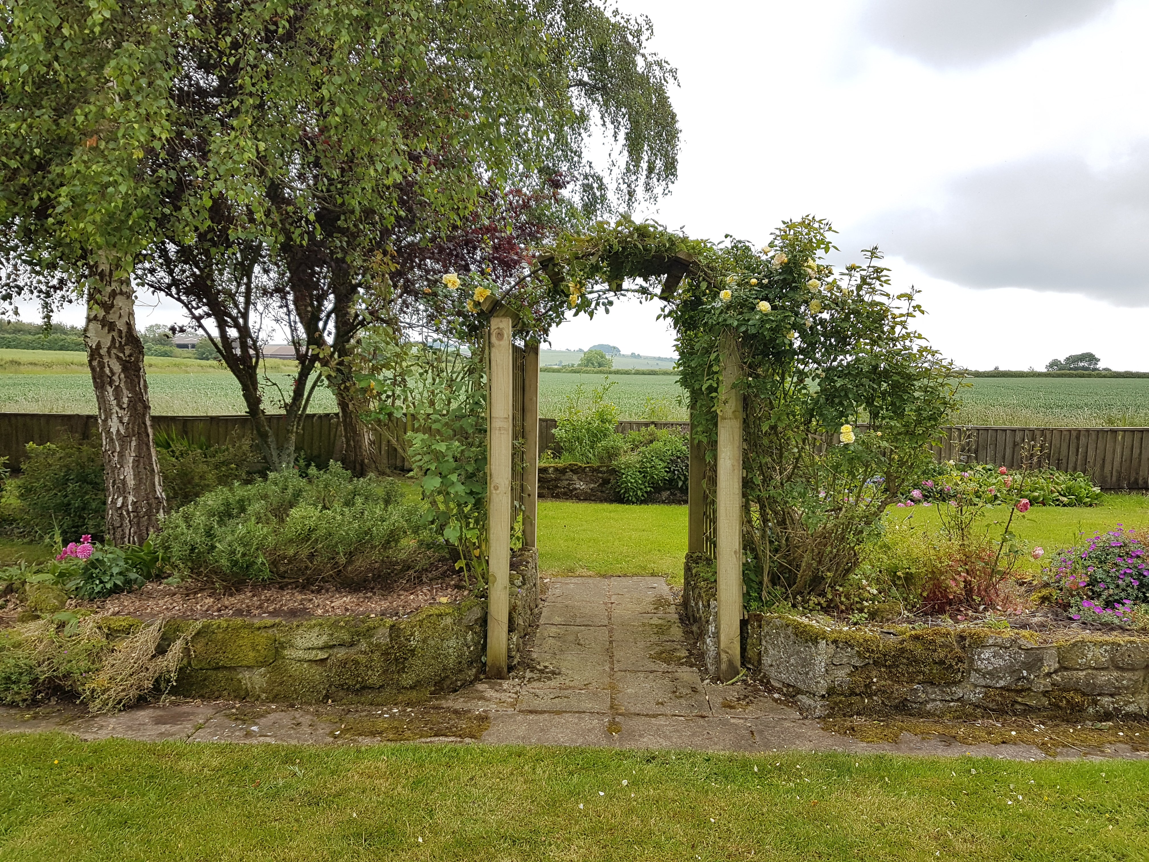 A garden arch and path through soft planting showing structure and movement within an English garden