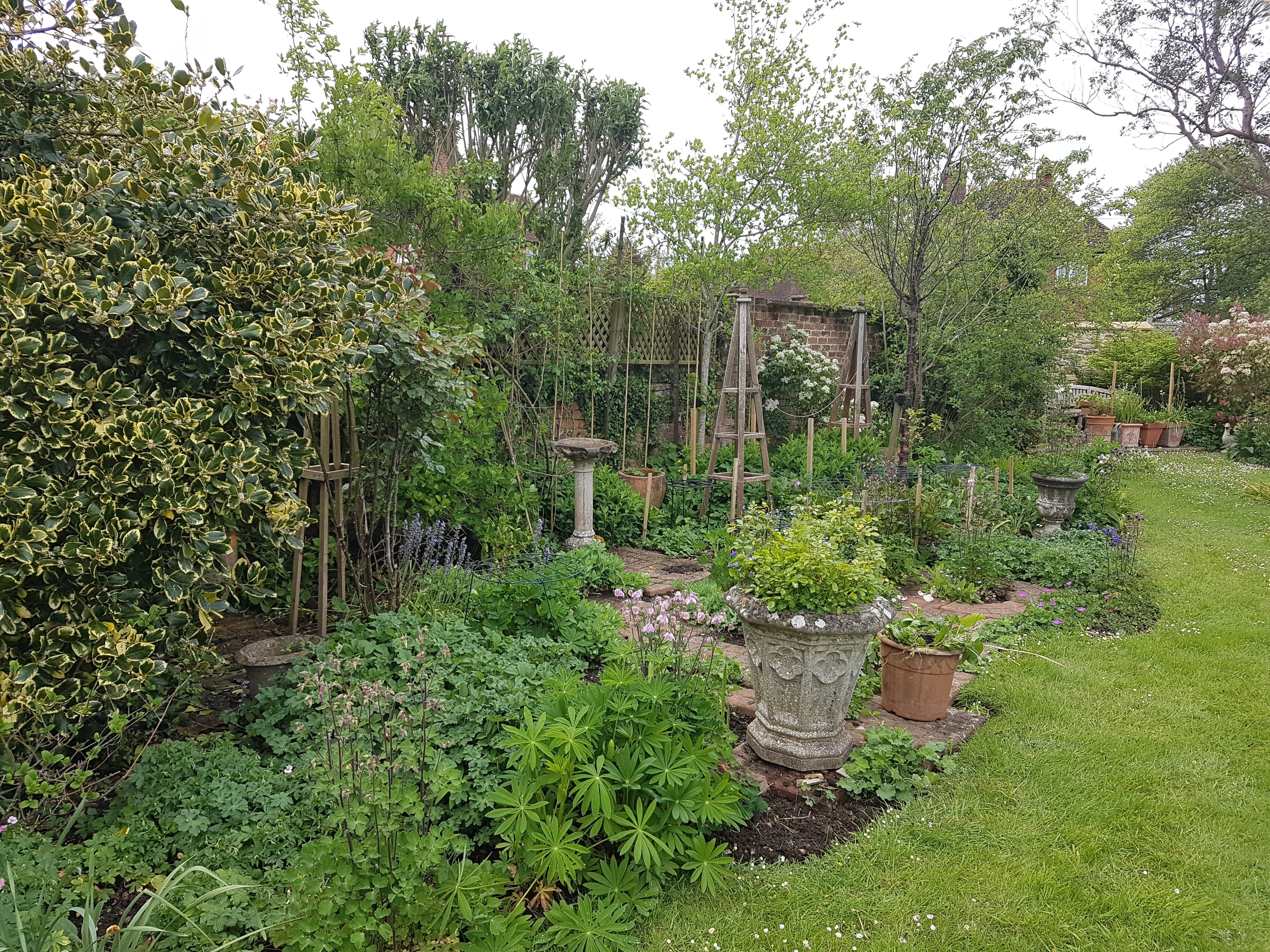 Early spring garden with emerging growth and visible structure beginning to soften