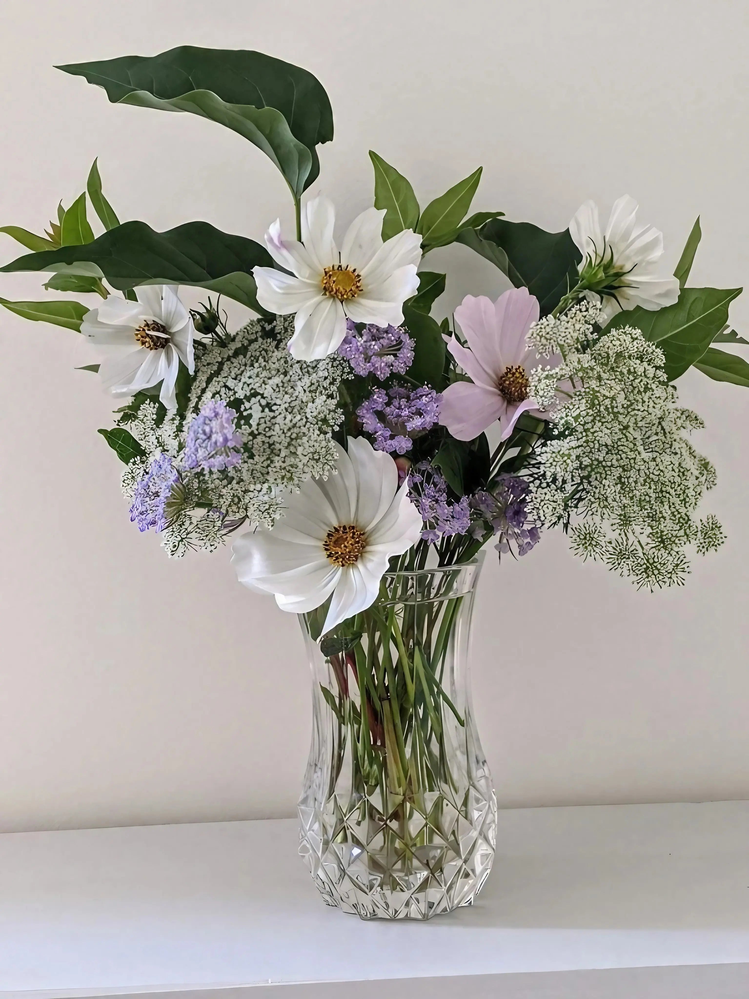Cosmos Purity