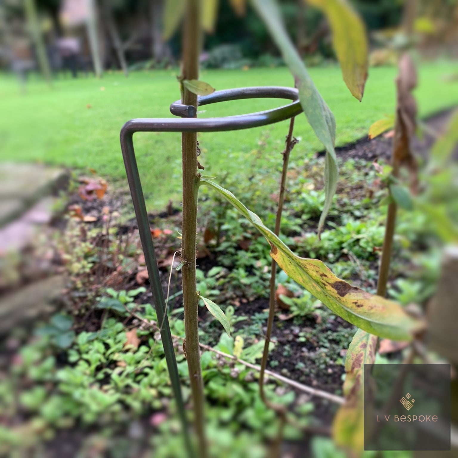 Single Stem Plant Support | Handcrafted Steel