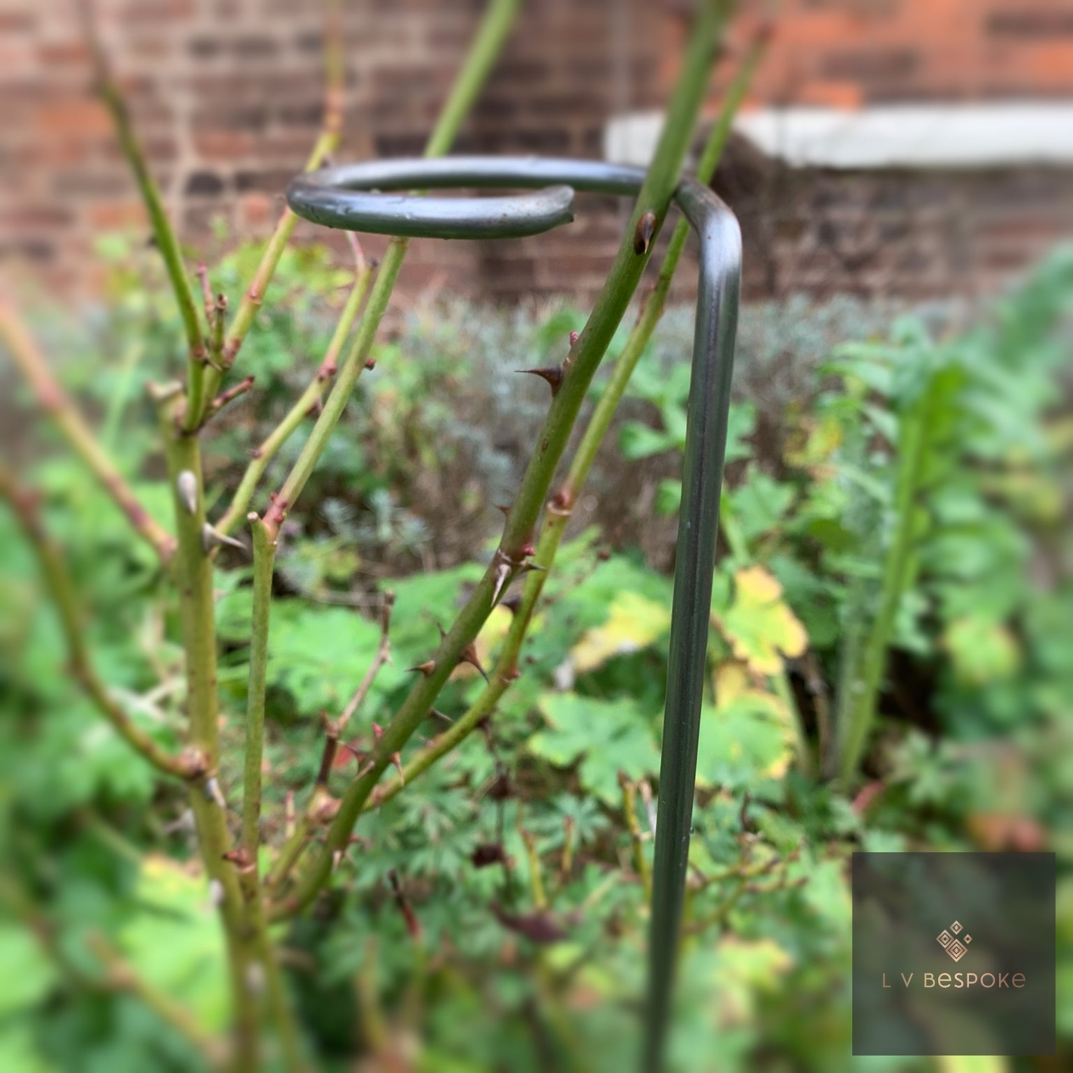 Single Stem Plant Support | Handcrafted Steel