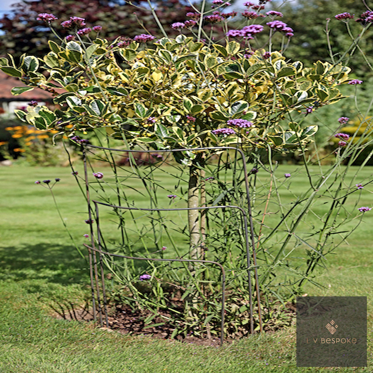 Wide Curved Steel Plant Support | Various Heights | Handcrafted - English Country Gardens