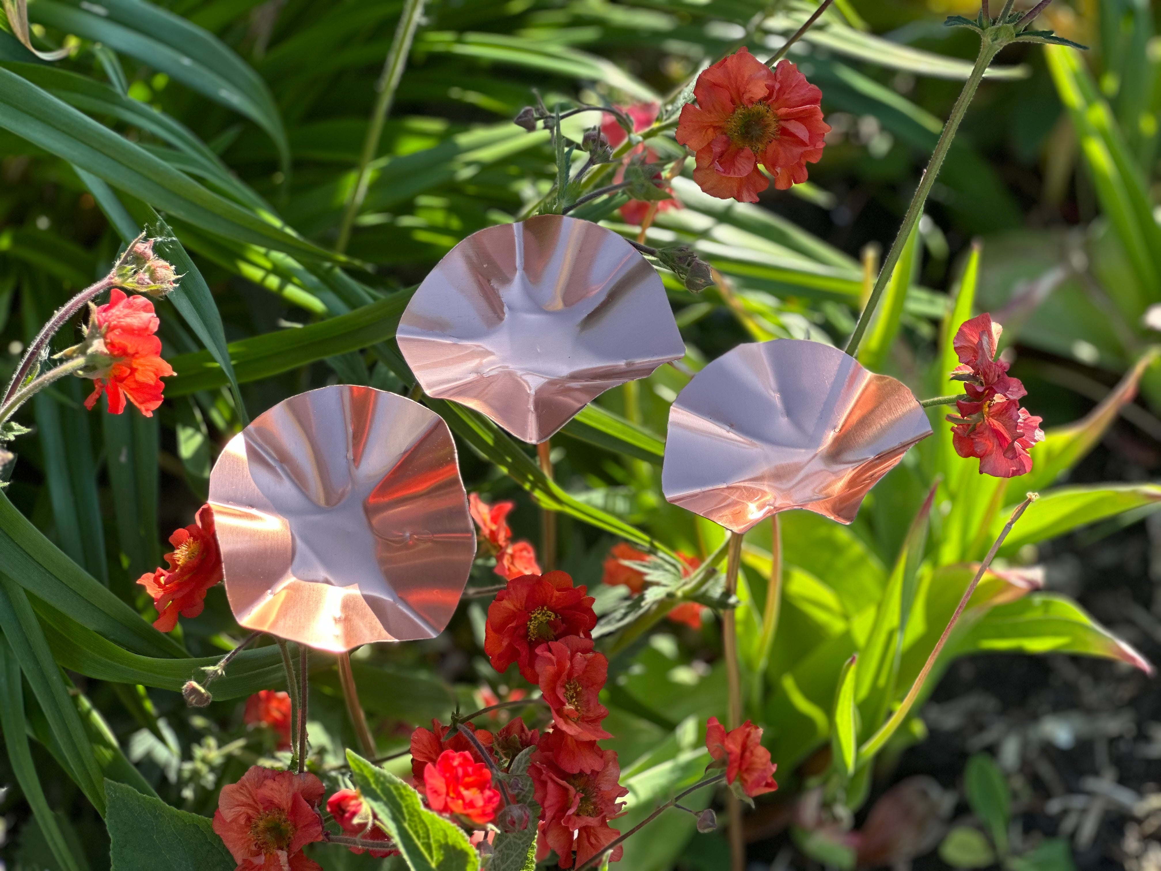 3 x Copper Bee Drinker Bundle