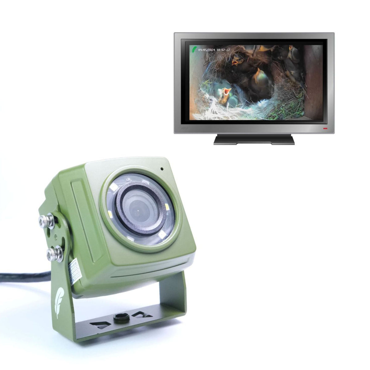 HD Cable Connection Bird Box & Wildlife Camera (20m cable) - English Country Gardens
