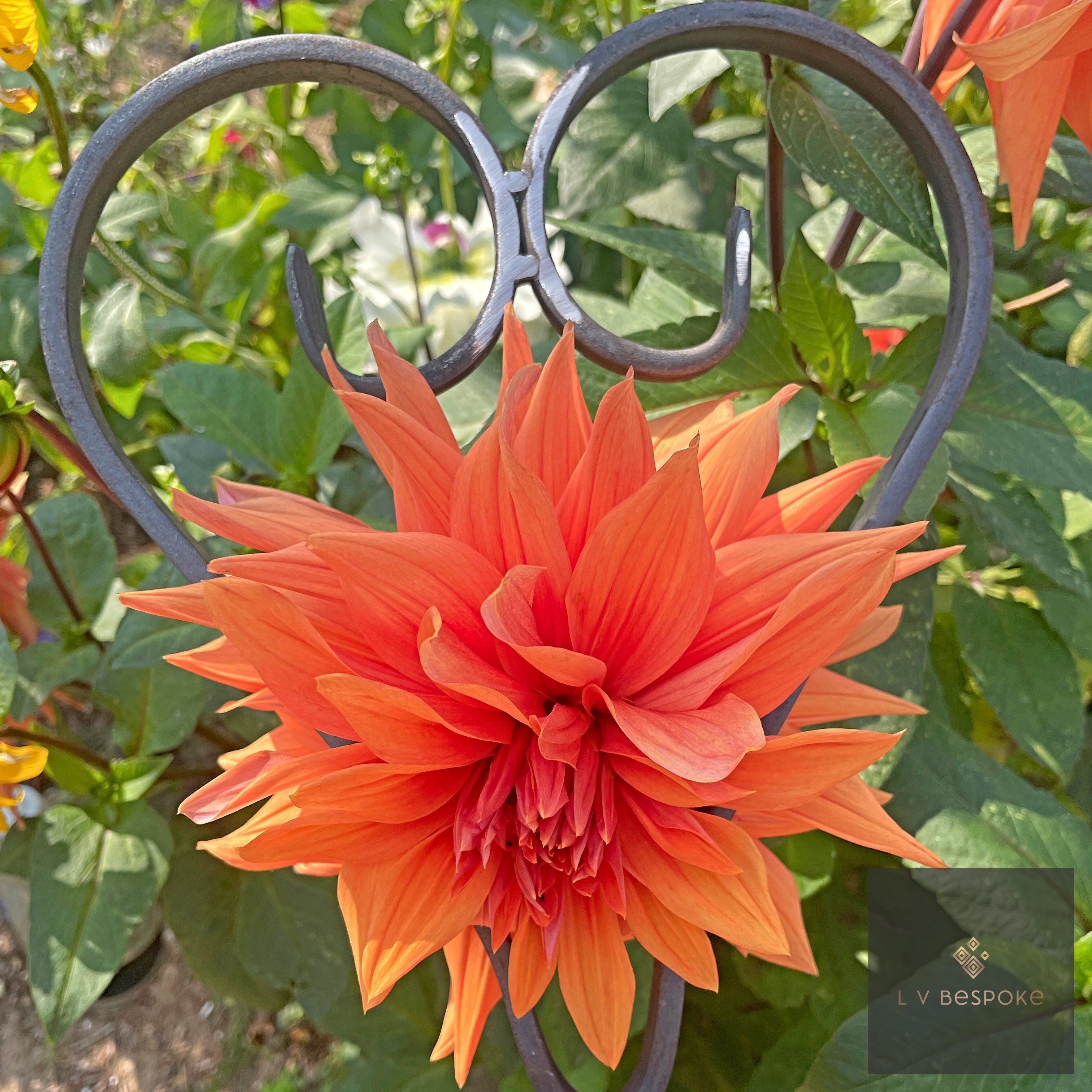 Heart Shaped Plant Support | Handcrafted Steel Garden Feature
