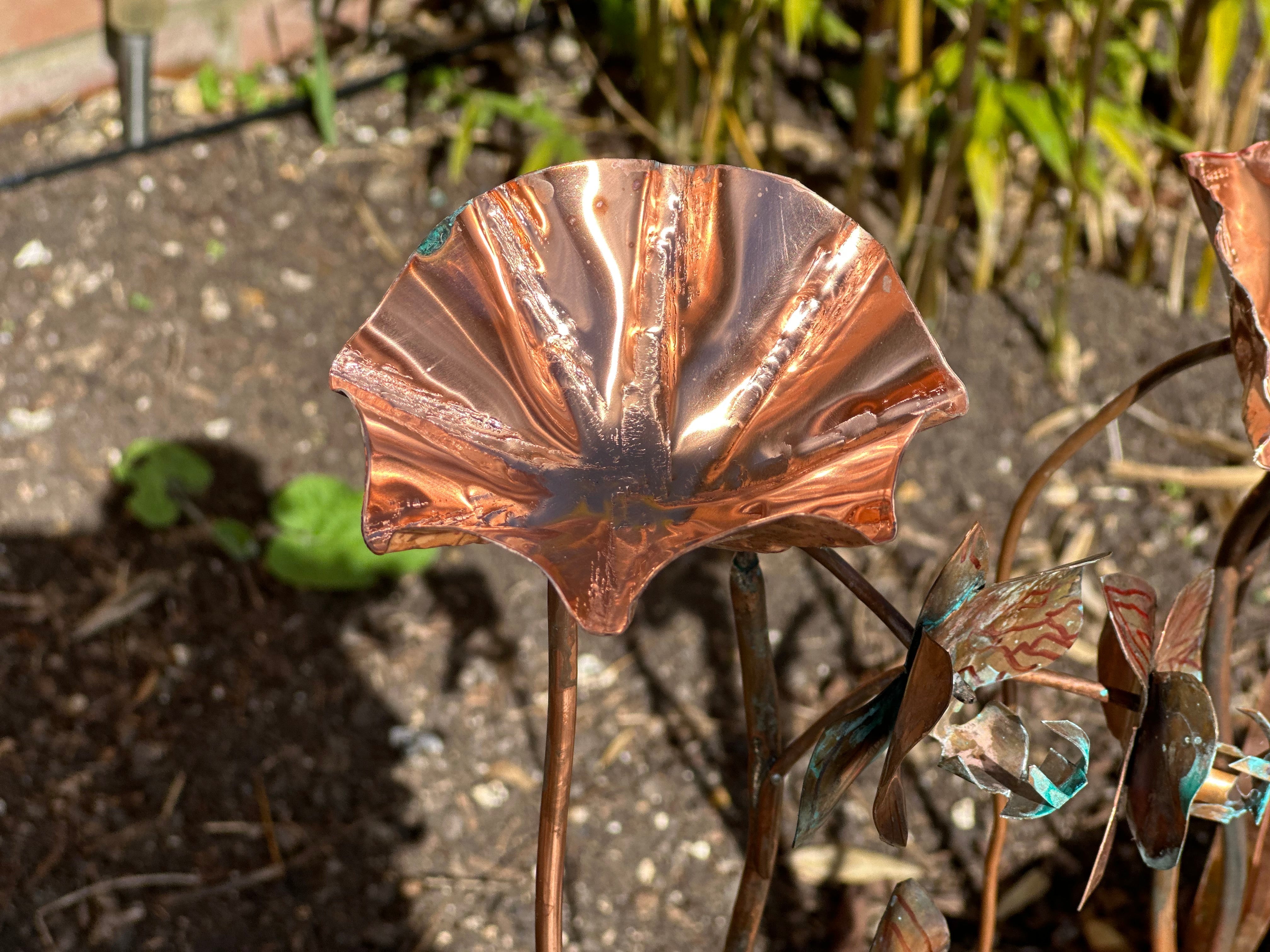 5 x Copper Bee Drinker Bundle
