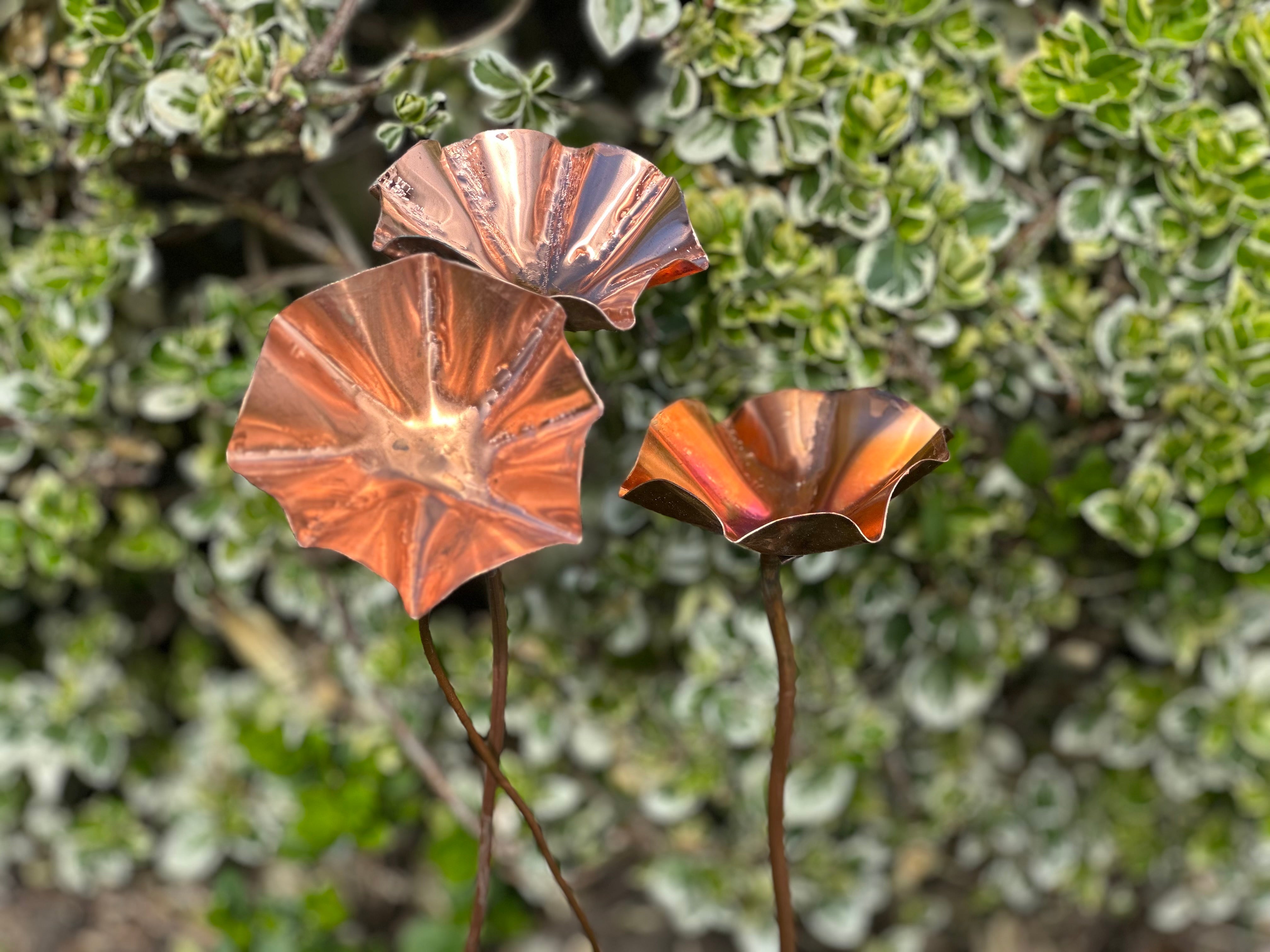 3 x Copper Bee Drinker Bundle
