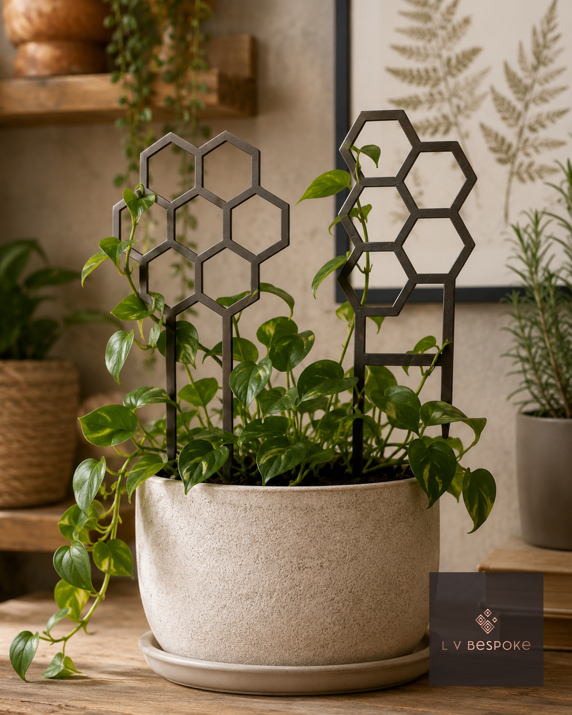 Indoor Plant Support Honeycomb Trellis (5 Cells) - English Country Gardens