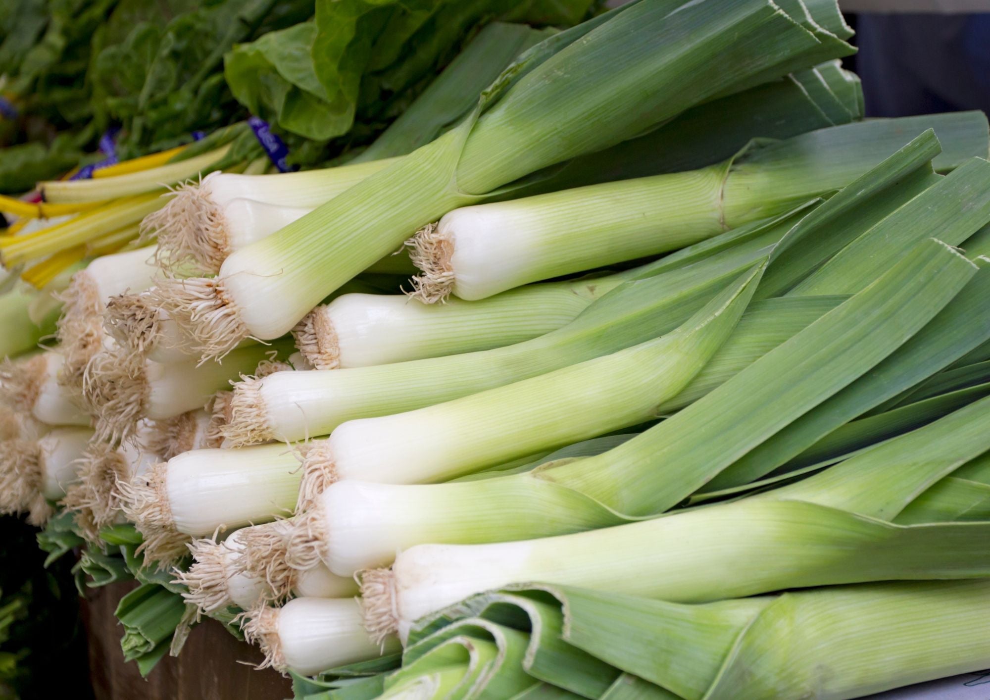 Leek Musselburgh