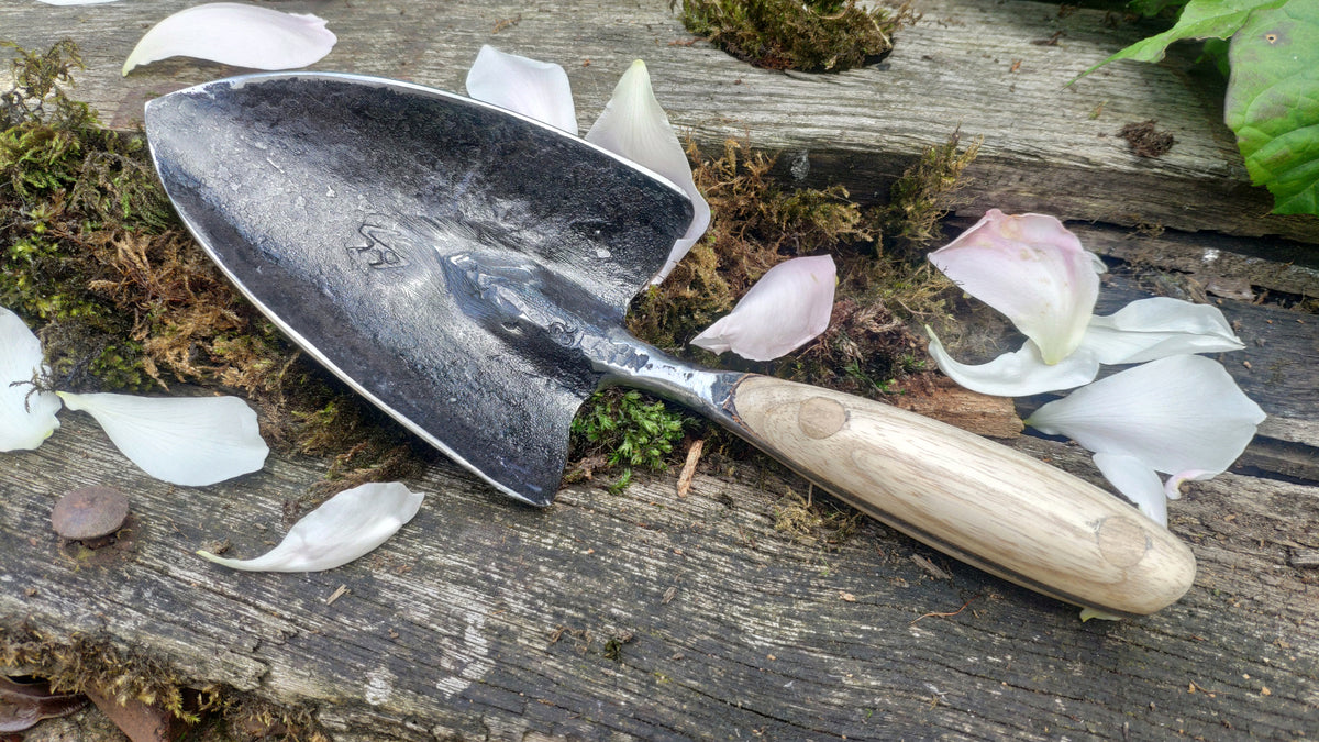 The Anvil & Yew garden trowel showing its curved steel blade and wooden handle, surrounded by pale petals on weathered timber
