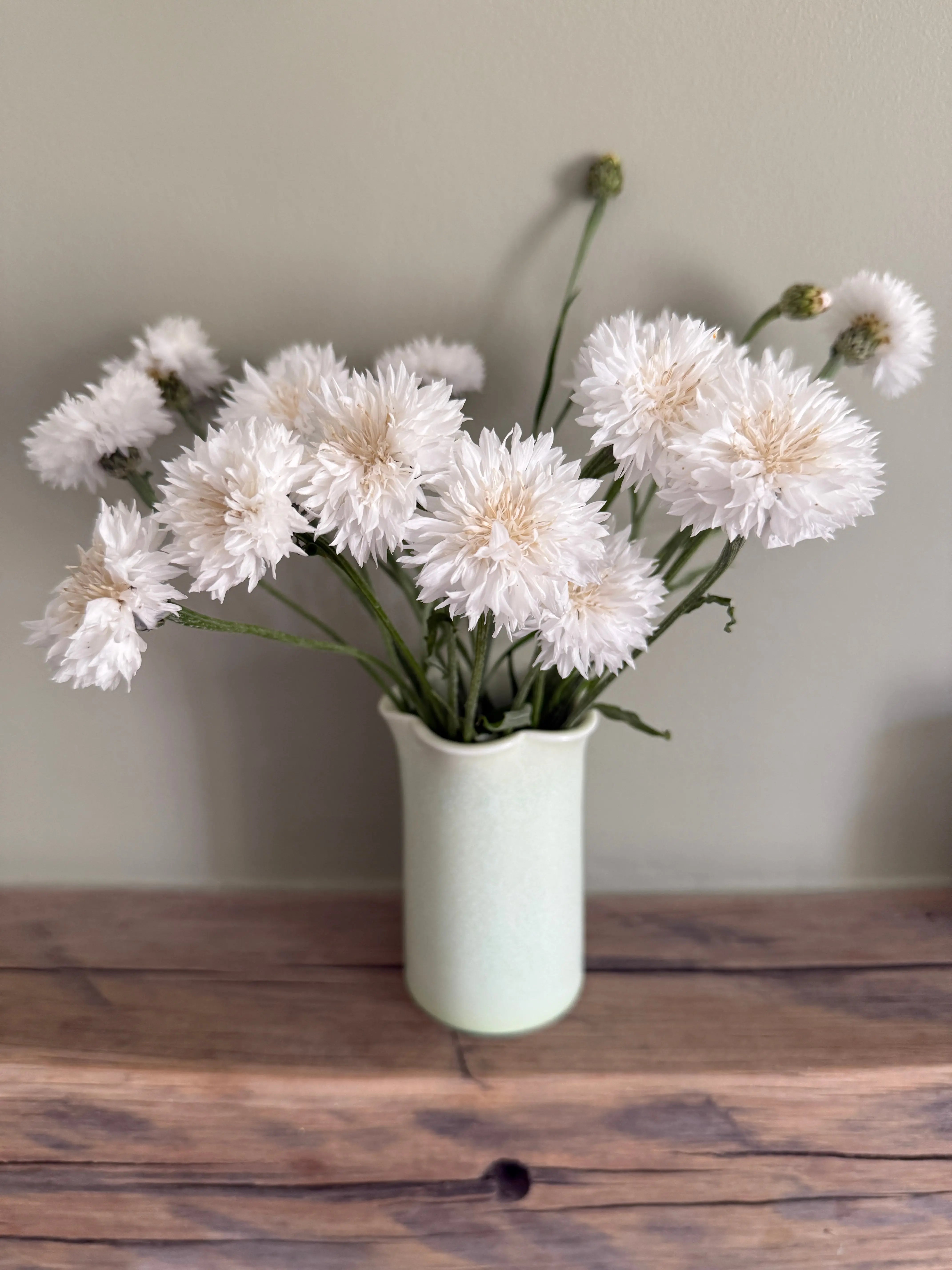 Cornflower Snowman