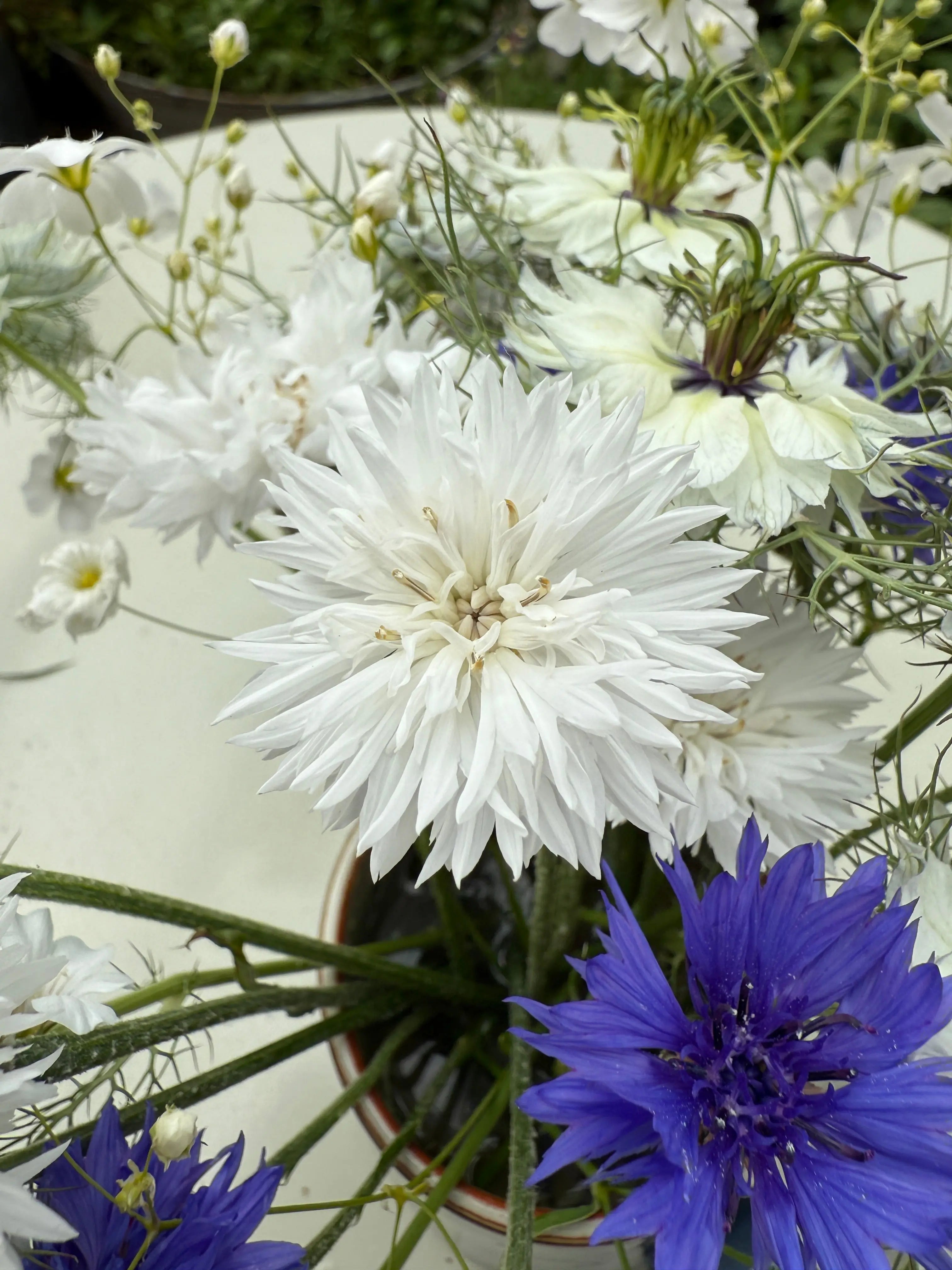 Cornflower Snowman