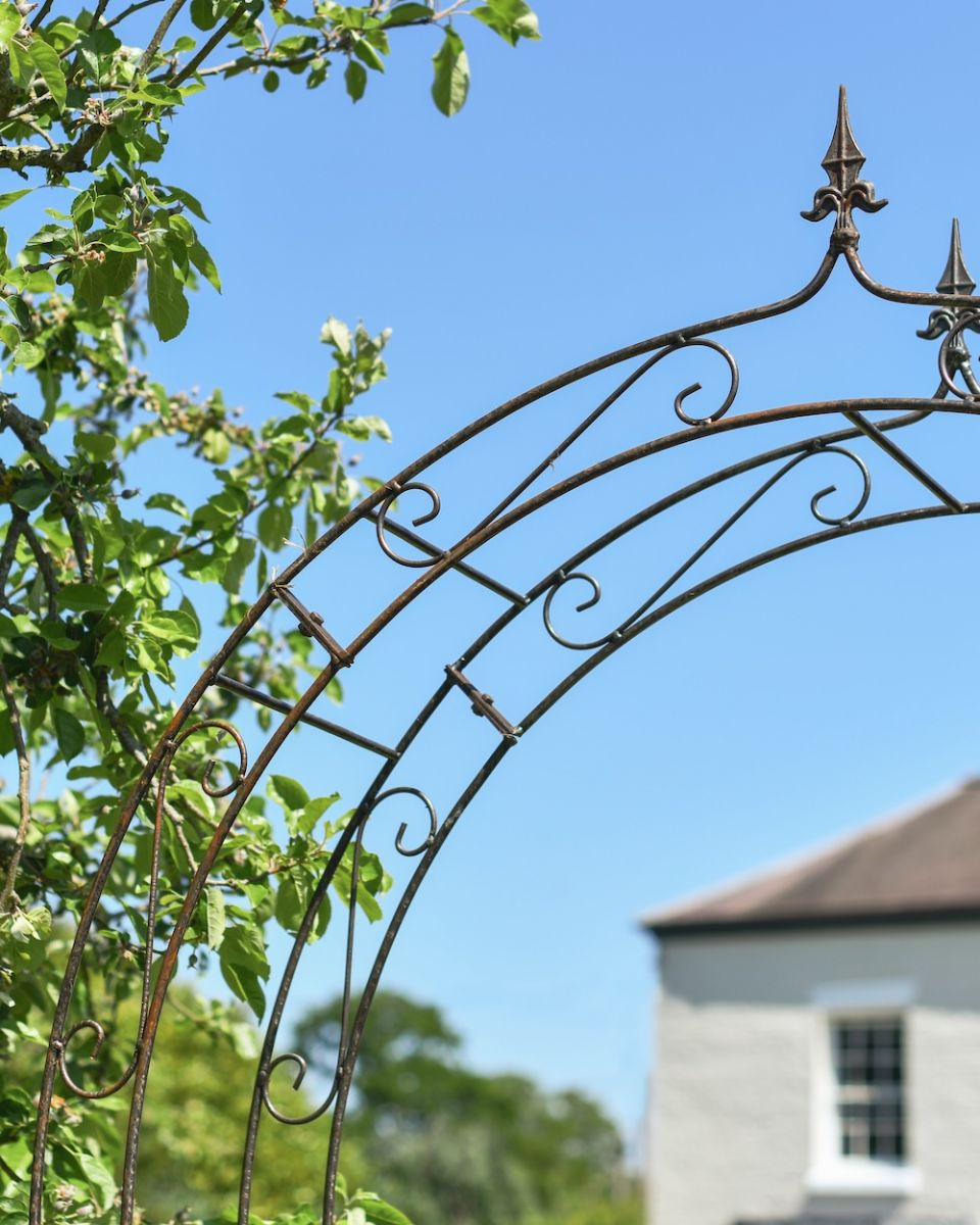 'Hadleigh' Ornate Rose Arch