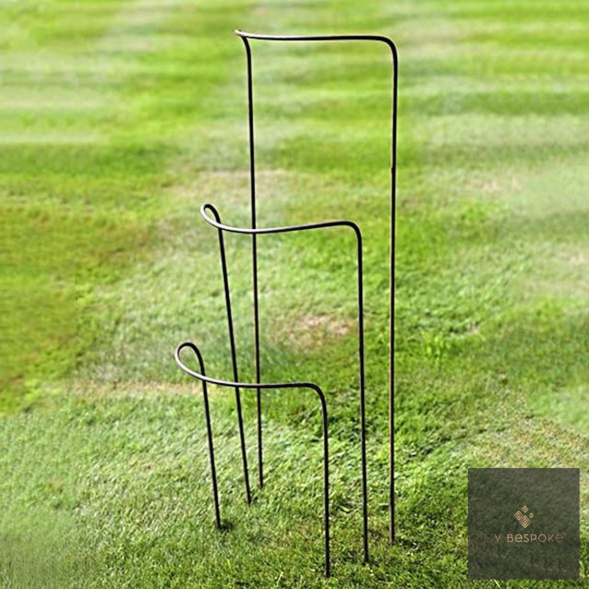 Set of 6 - 300mm wide metal plant supports, mixed heights. Durable and discrete ! - English Country Gardens