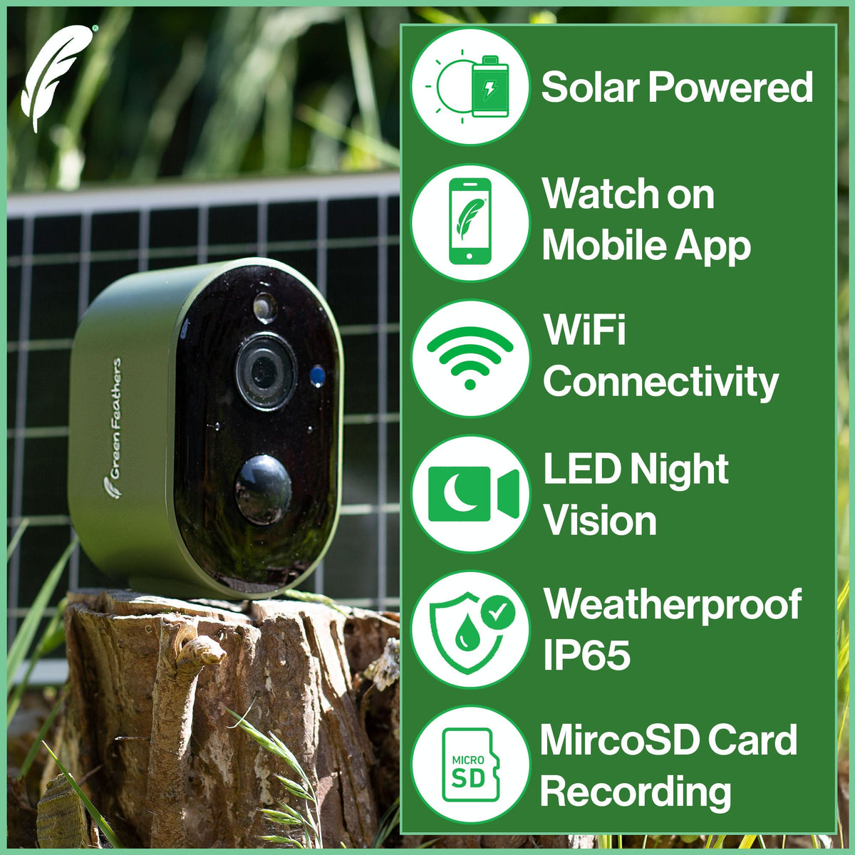Solar Powered WiFi HD Camera for Bird Box & Wildlife Habitats - English Country Gardens