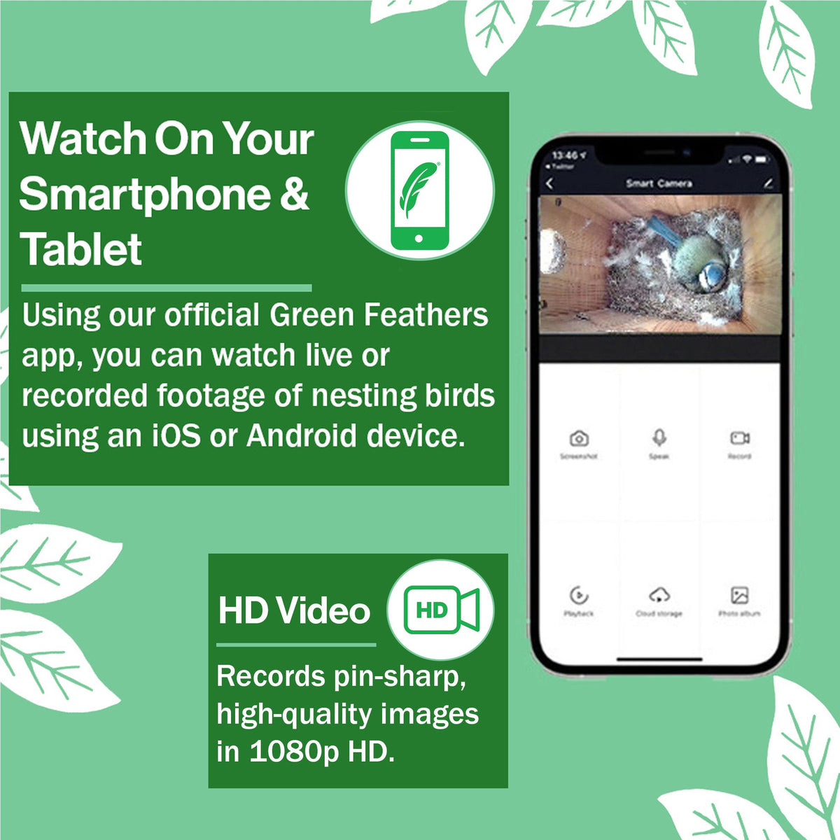WiFi HD Camera for Bird Box & Wildlife Habitats - English Country Gardens