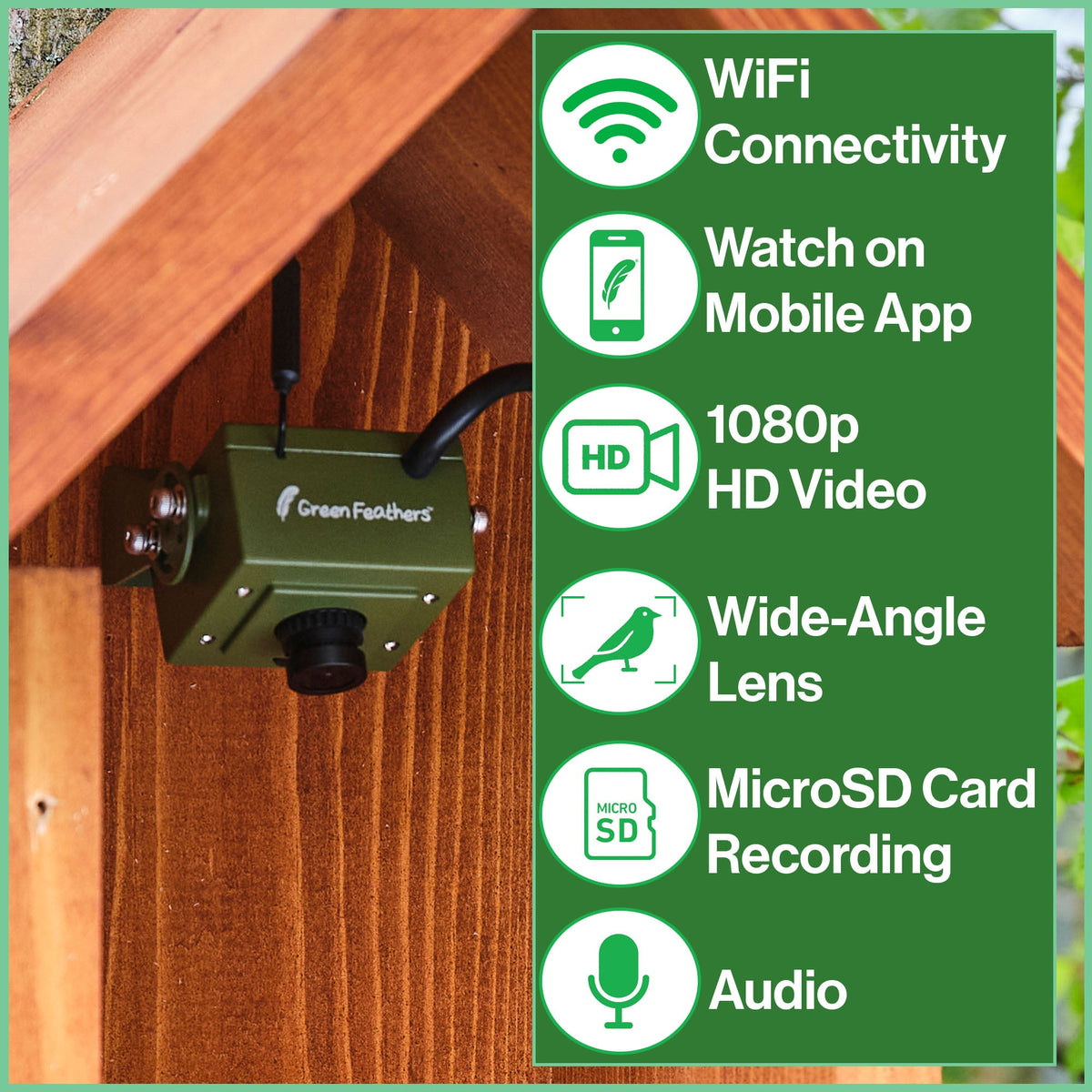 WiFi HD Camera for Bird Box & Wildlife Habitats - English Country Gardens