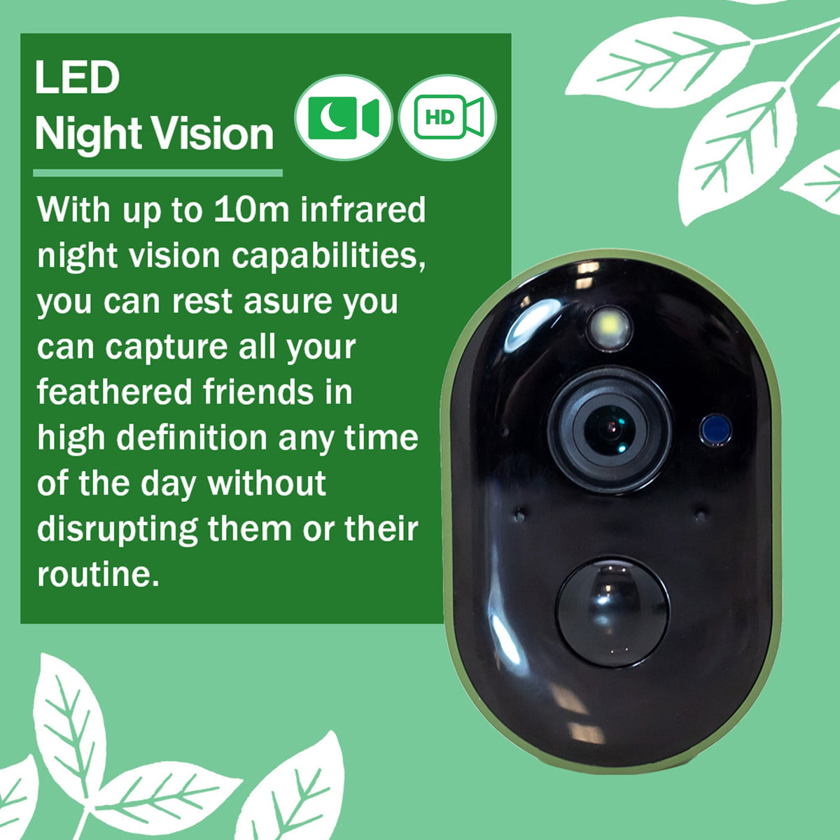 Solar Powered WiFi HD Camera for Bird Box & Wildlife Habitats - English Country Gardens