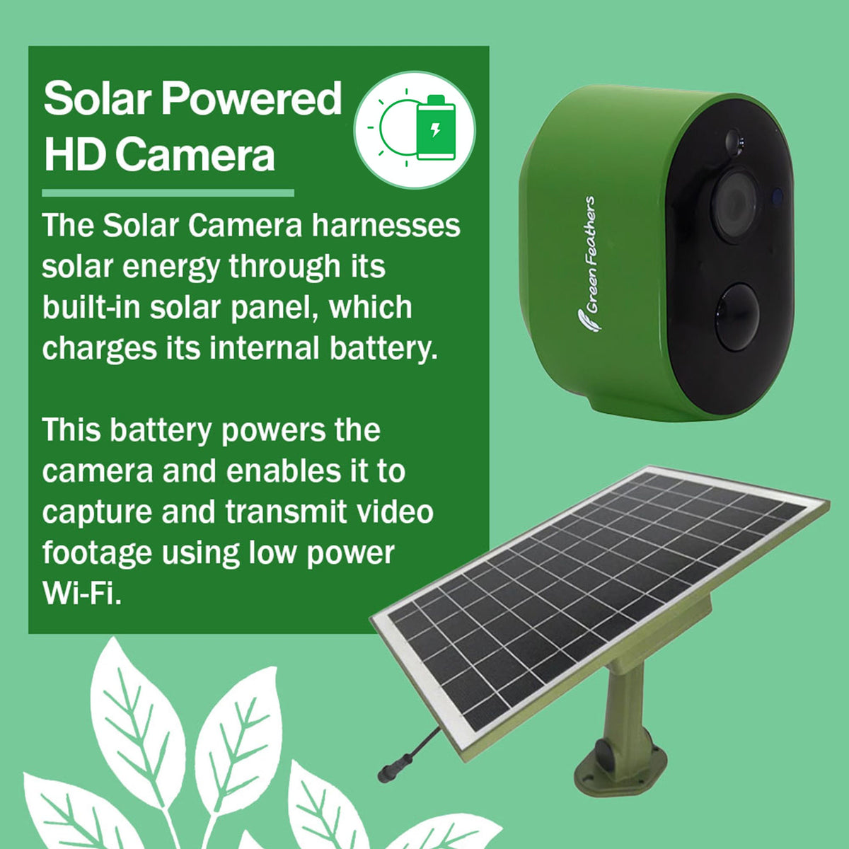 Solar Powered WiFi HD Camera for Bird Box & Wildlife Habitats - English Country Gardens