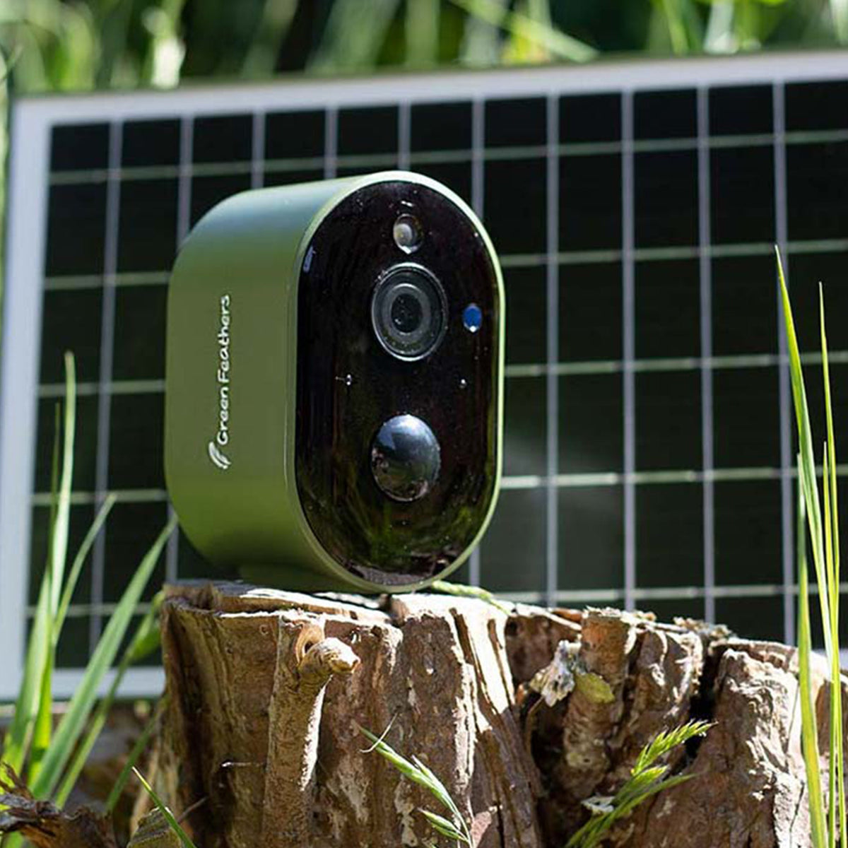 Solar Powered WiFi HD Camera for Bird Box & Wildlife Habitats - English Country Gardens