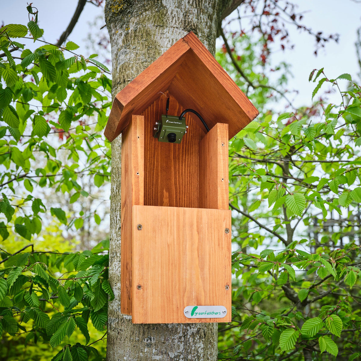 WiFi HD Camera for Bird Box & Wildlife Habitats - English Country Gardens