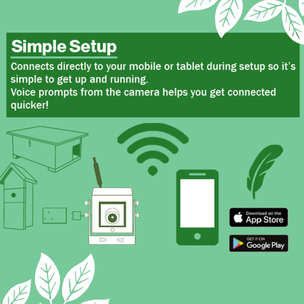 WiFi HD Camera for Bird Box & Wildlife Habitats - English Country Gardens