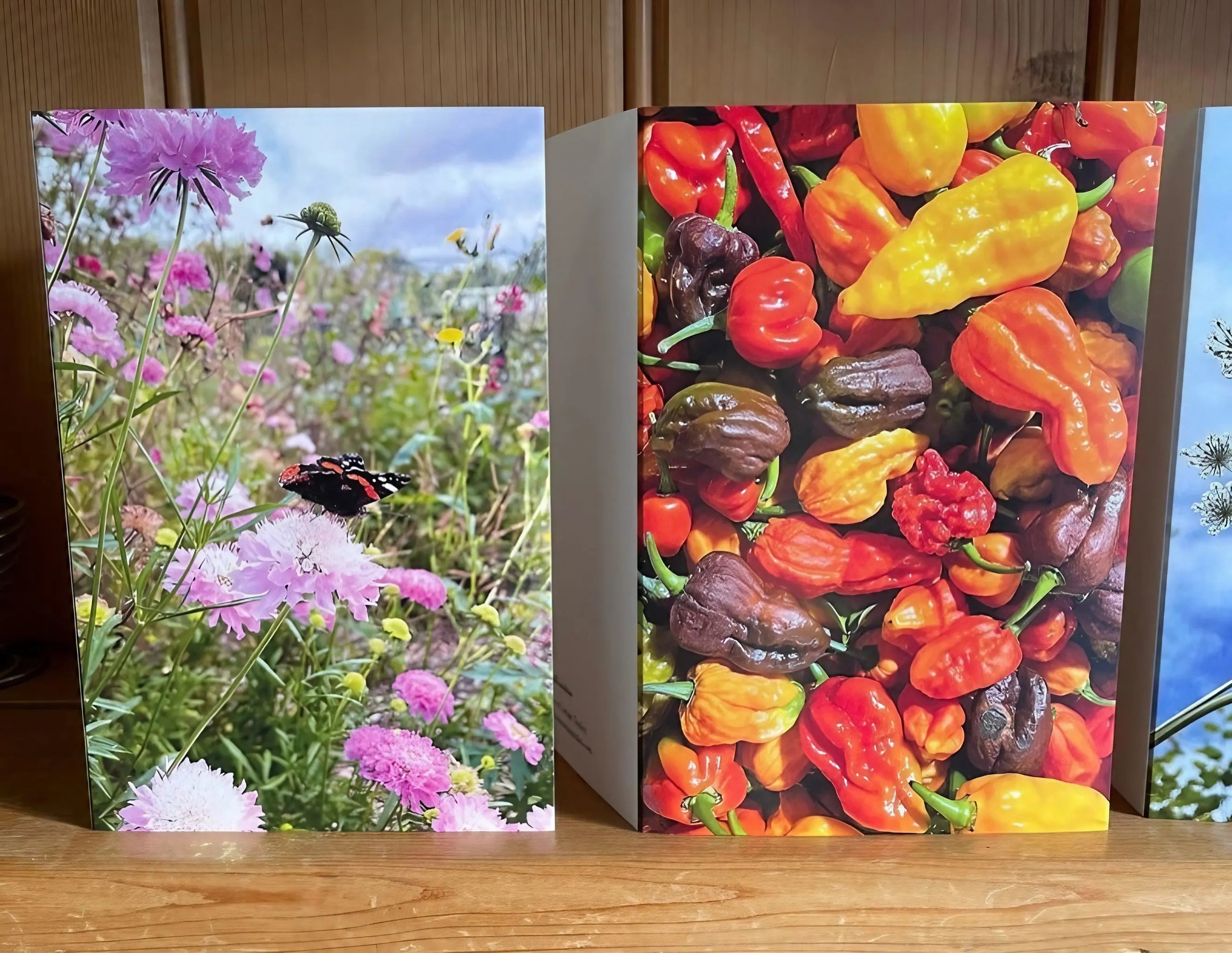 Collection of Four Greeting Cards