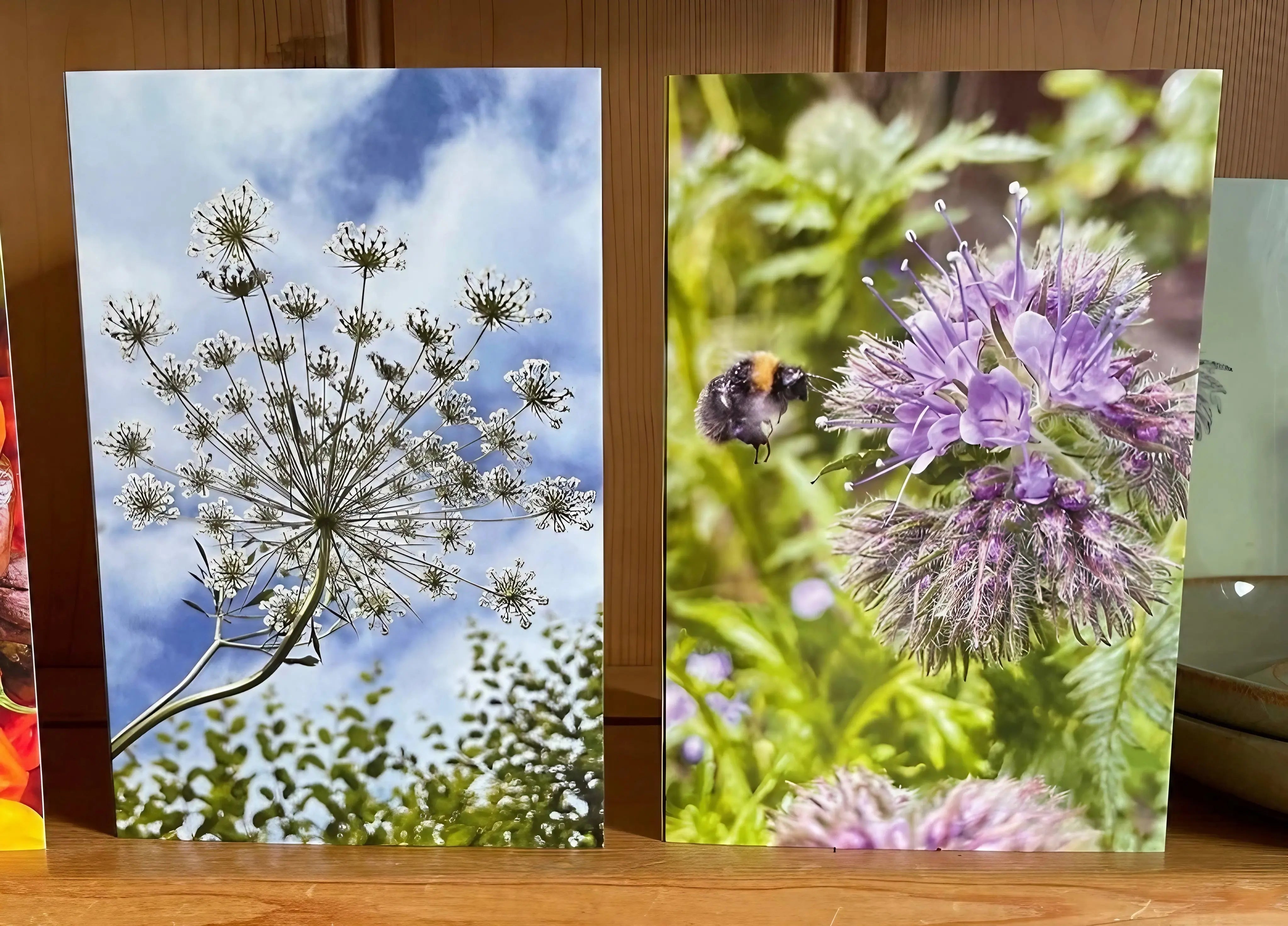 Bee with Phacelia Greeting Card