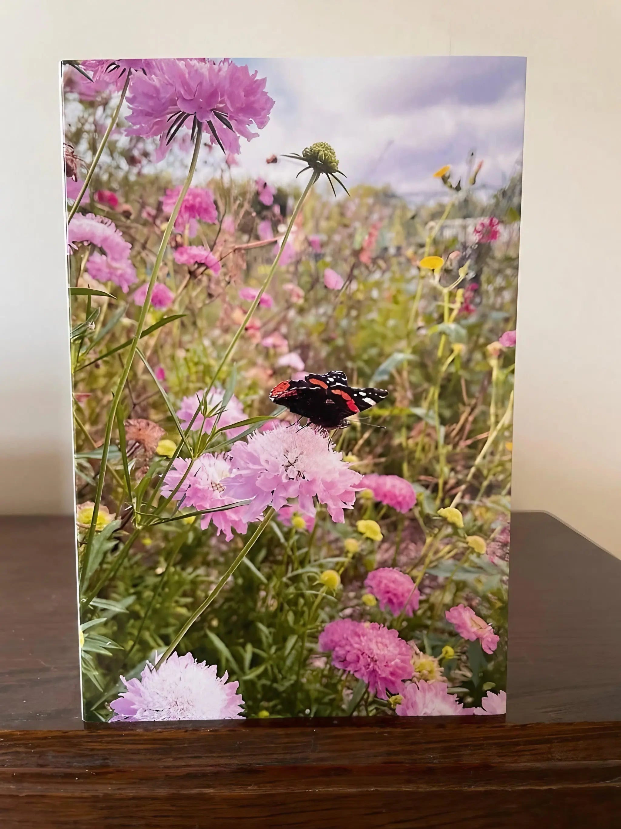 Summers Day Greeting Card