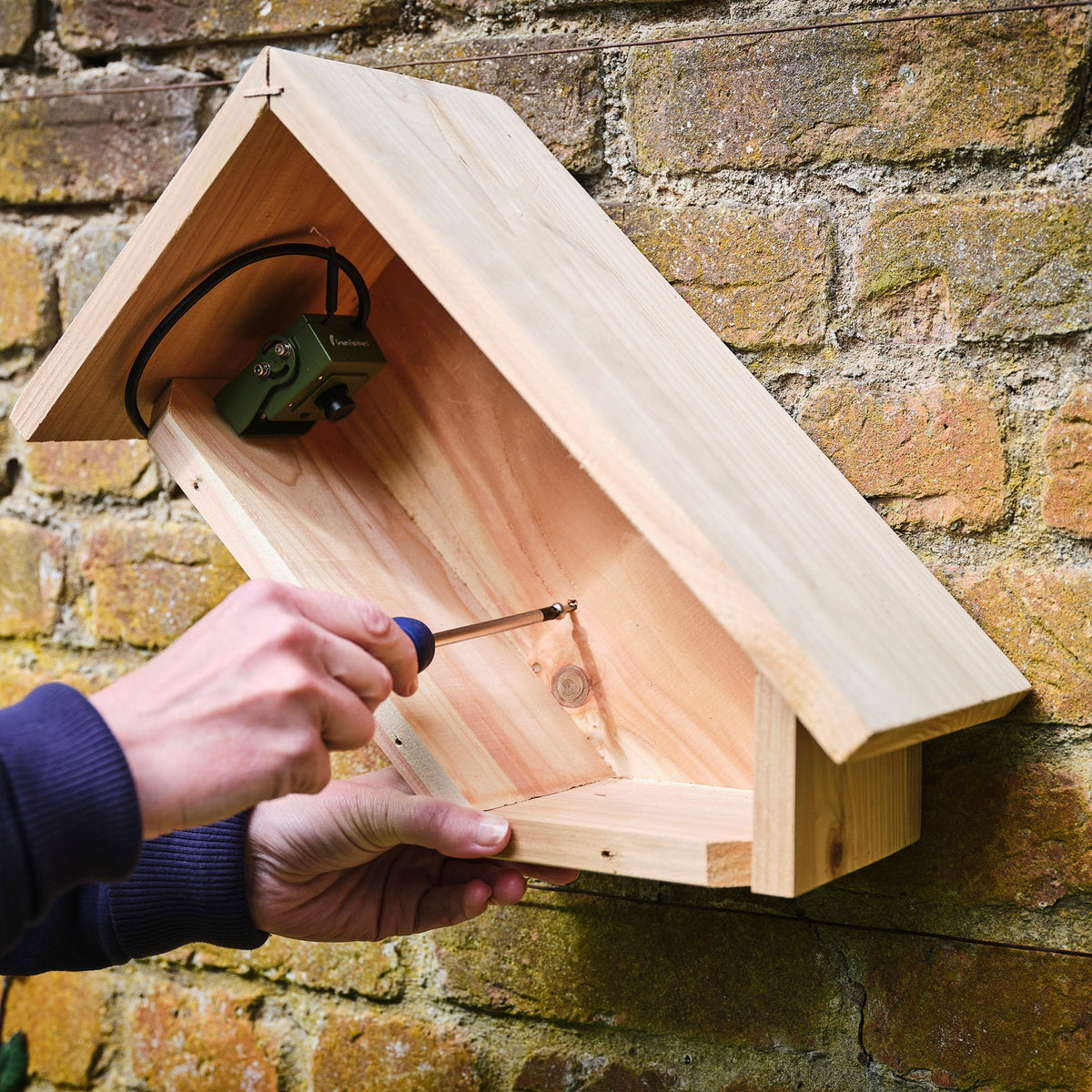 WiFi Side View Bird Box Starter Pack - English Country Gardens