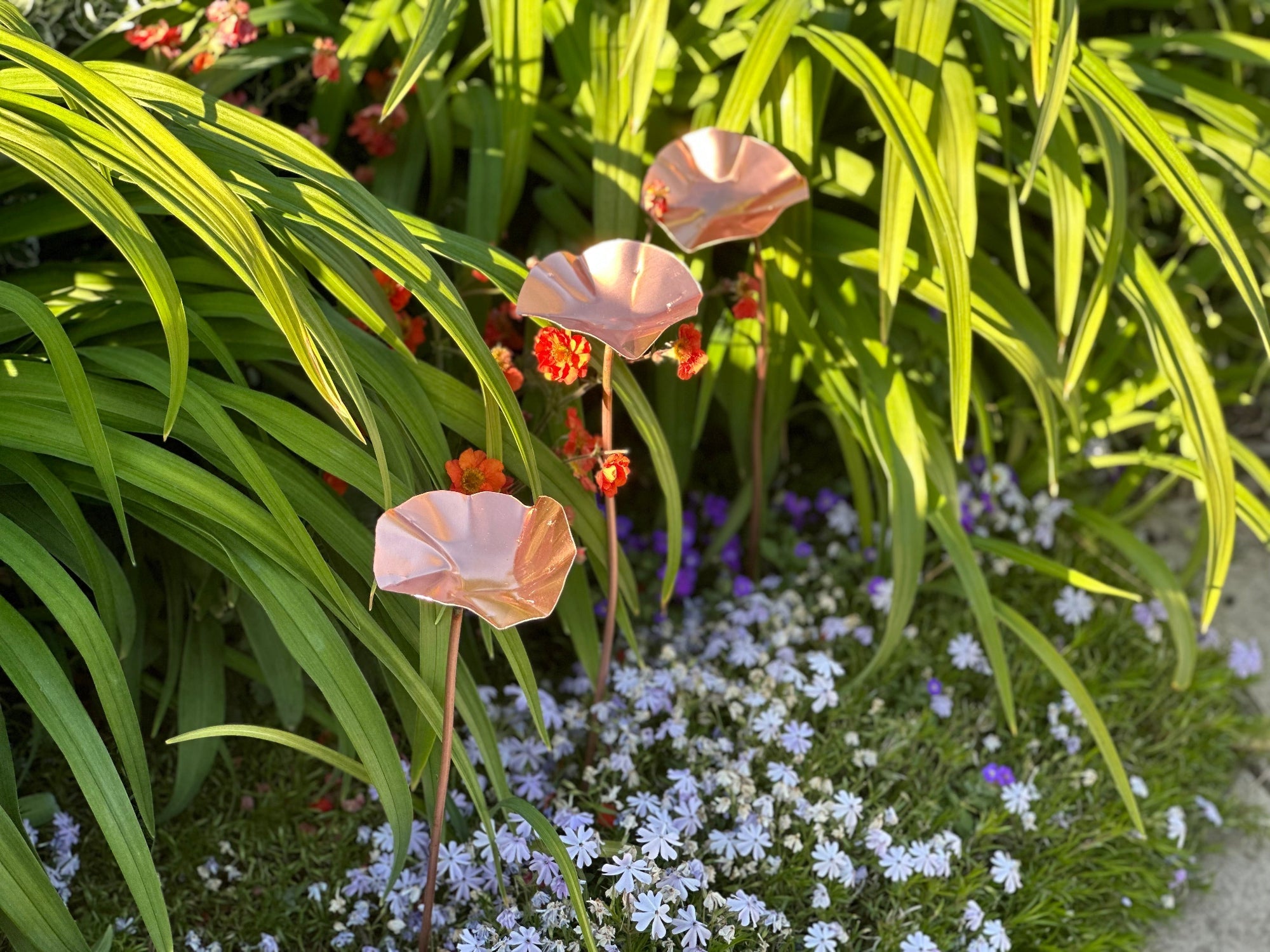 3 x Copper Bee Drinker Bundle