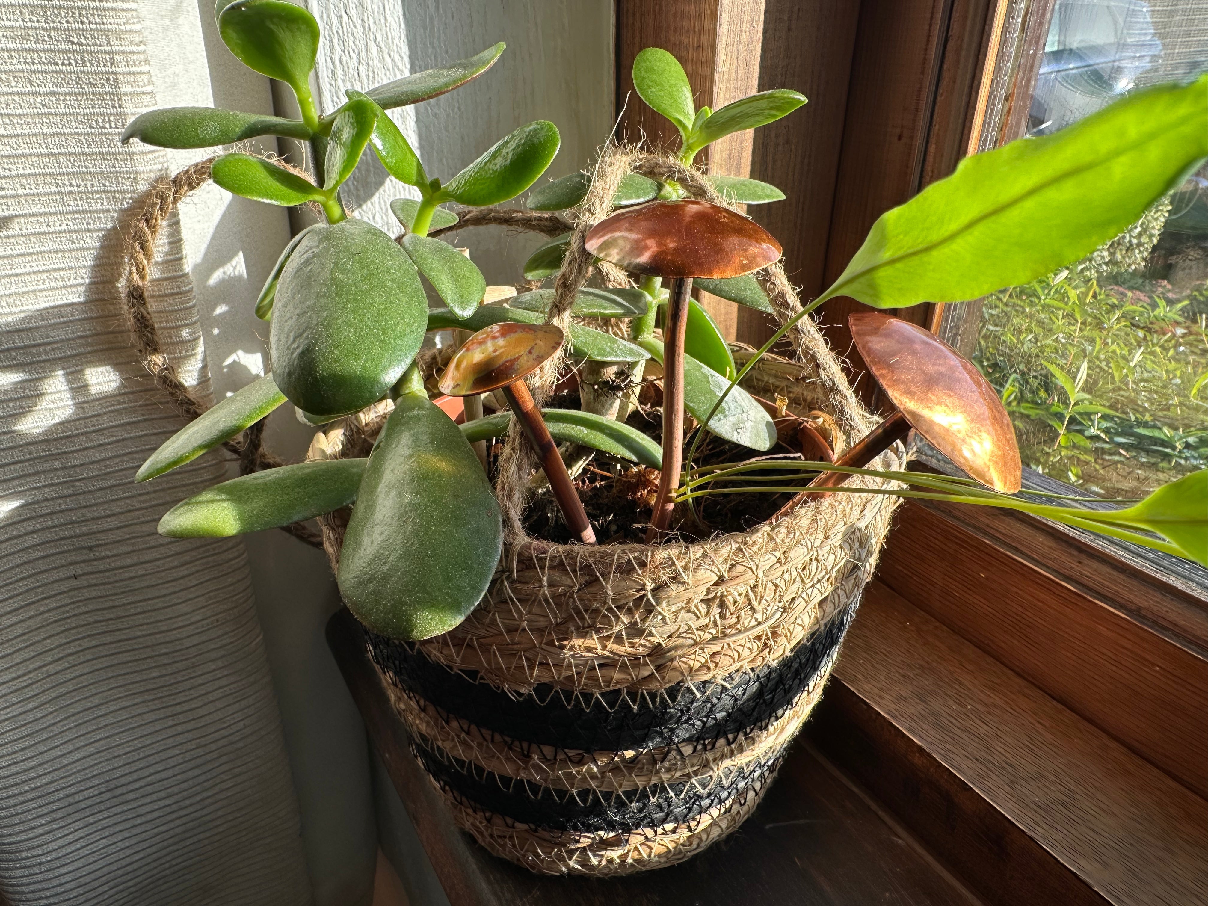3 Copper Mushrooms