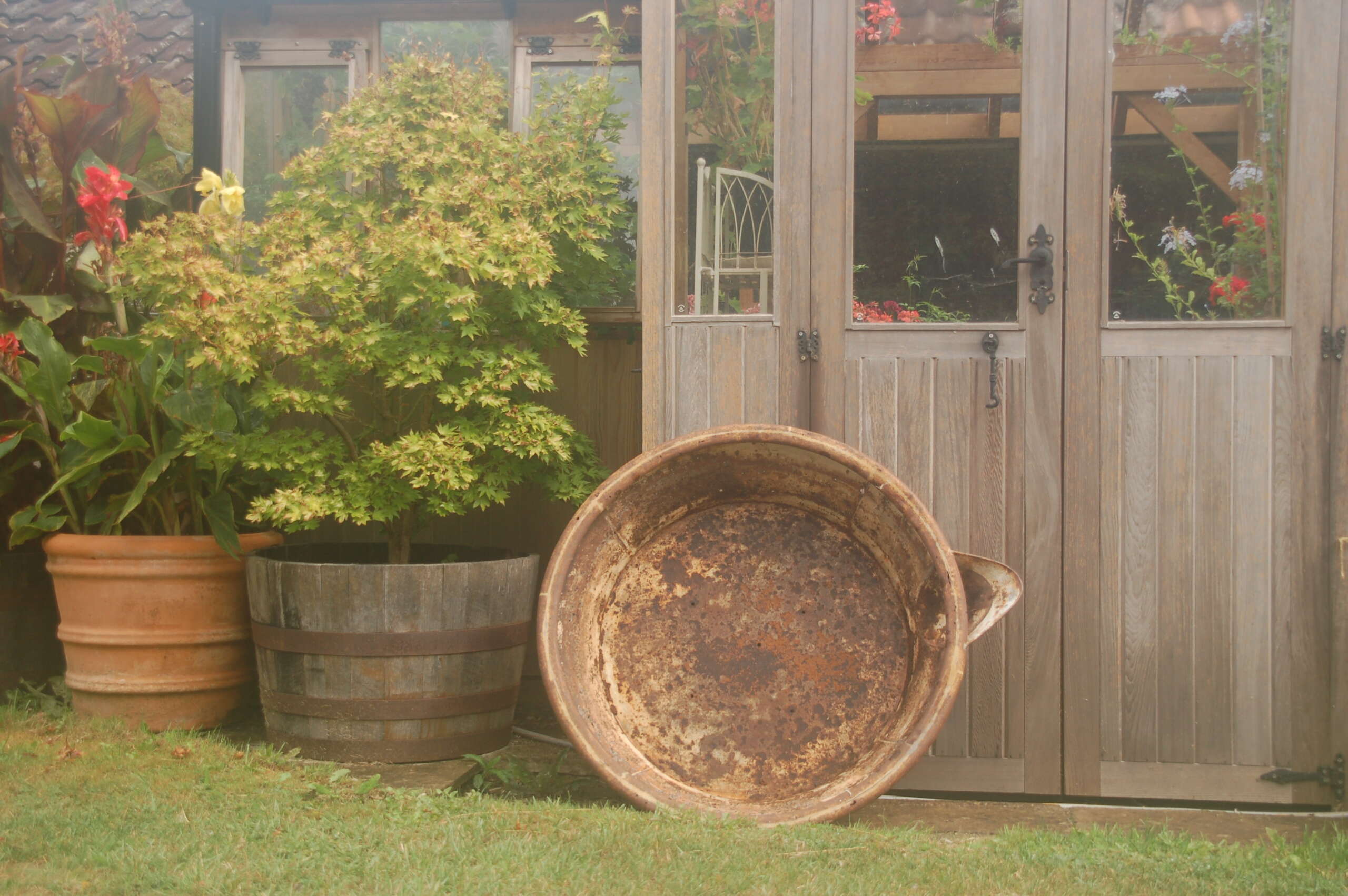 Rustic pot on grass with potted plants and a wooden shed in the background