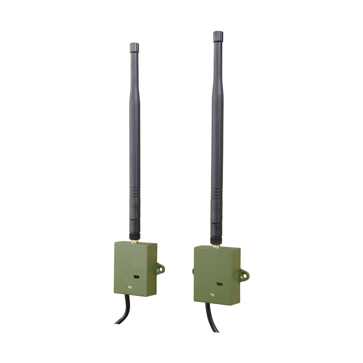 Long-Range Wireless Bird Box Camera Kit – Up to 300m - English Country Gardens