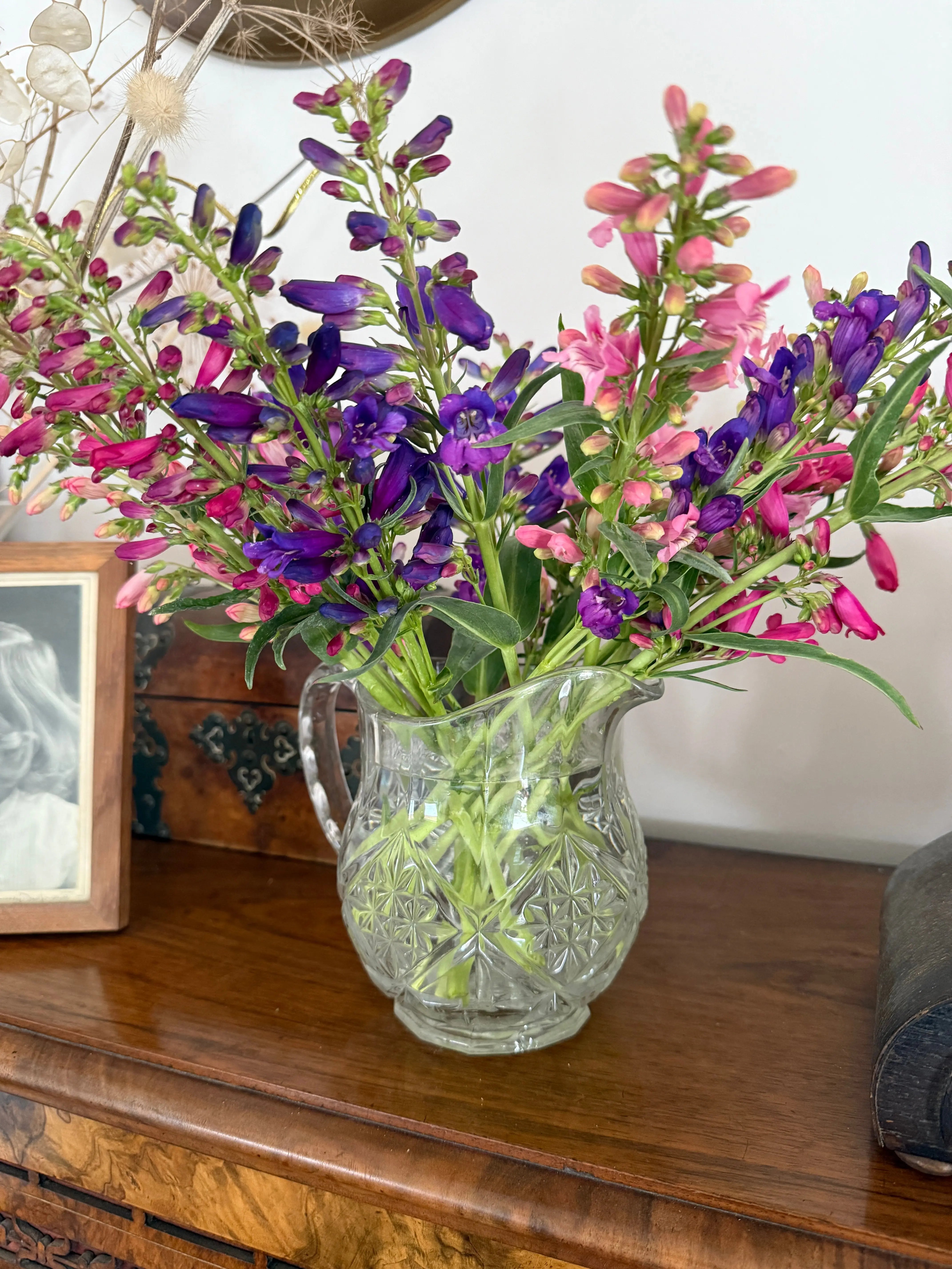 Penstemon Cambridge Mix - English Country Gardens