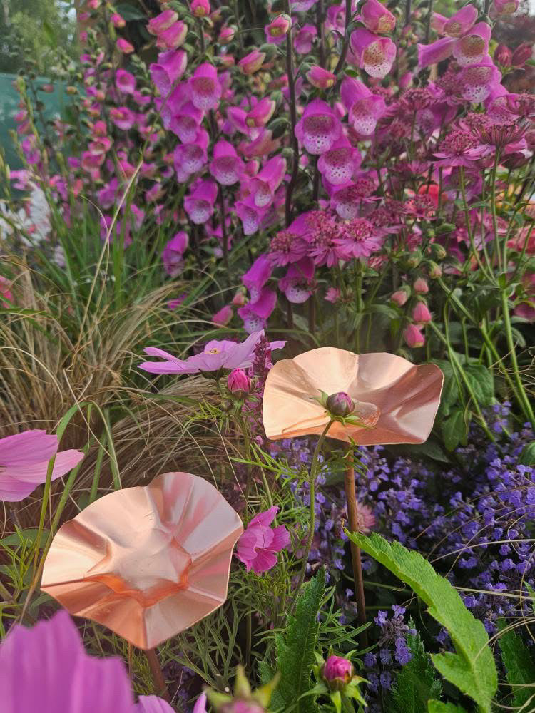 5 x Copper Bee Drinker Bundle