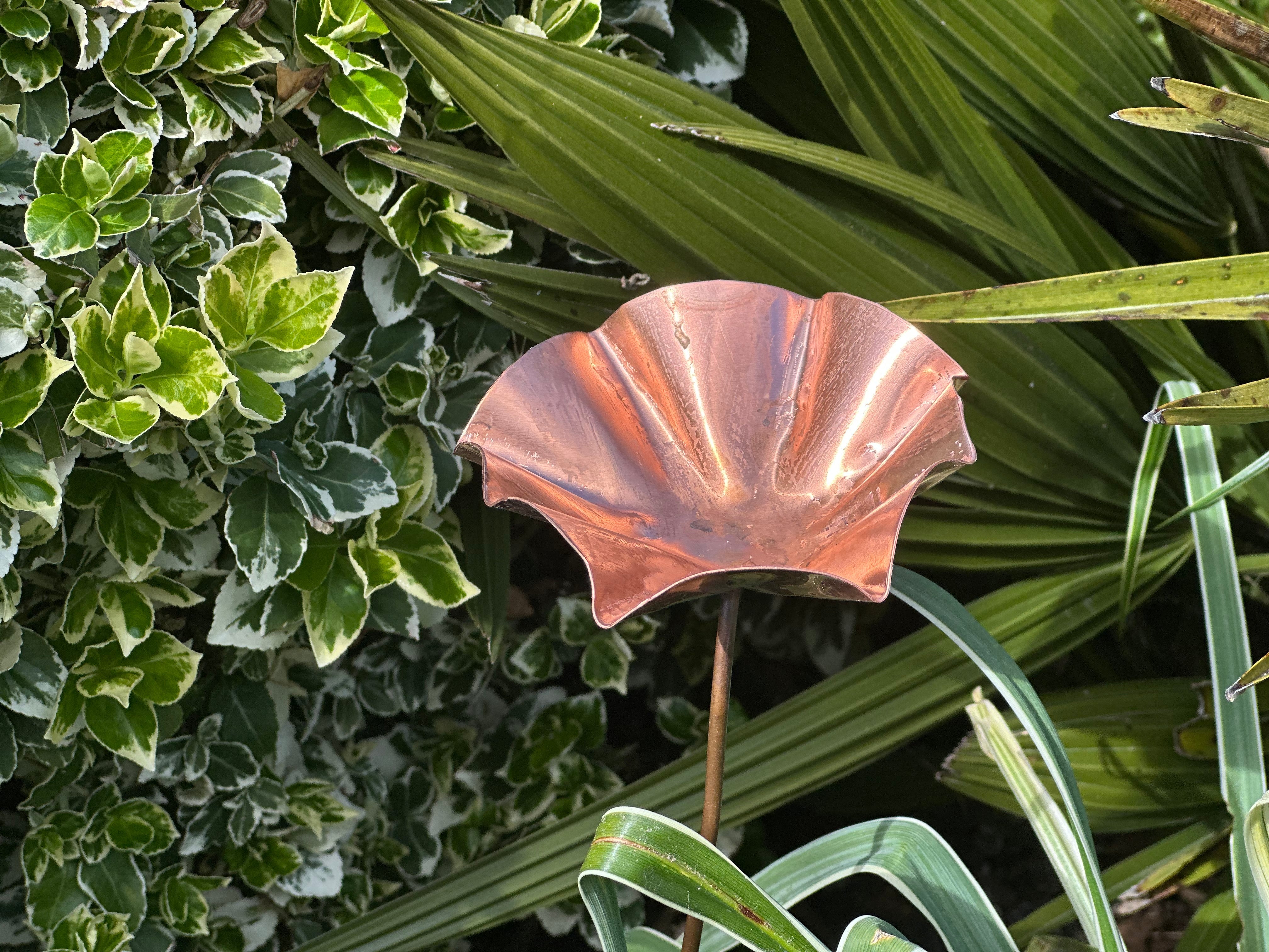 5 x Copper Bee Drinker Bundle