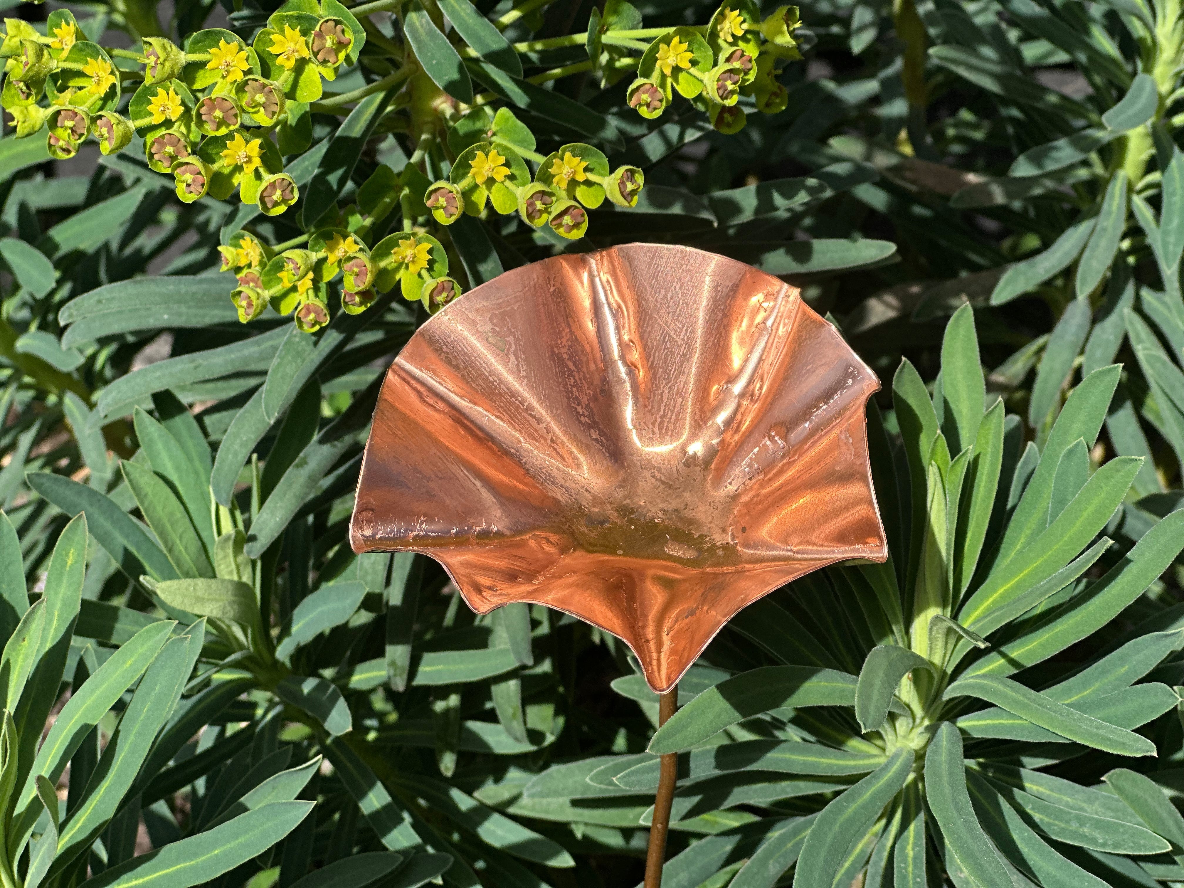 5 x Copper Bee Drinker Bundle