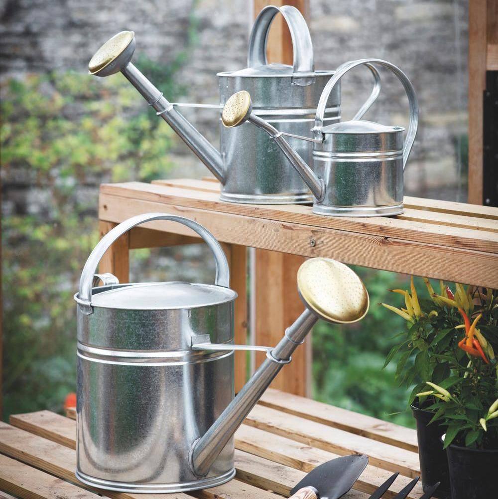 Galvanised Traditional Watering Can - 10L