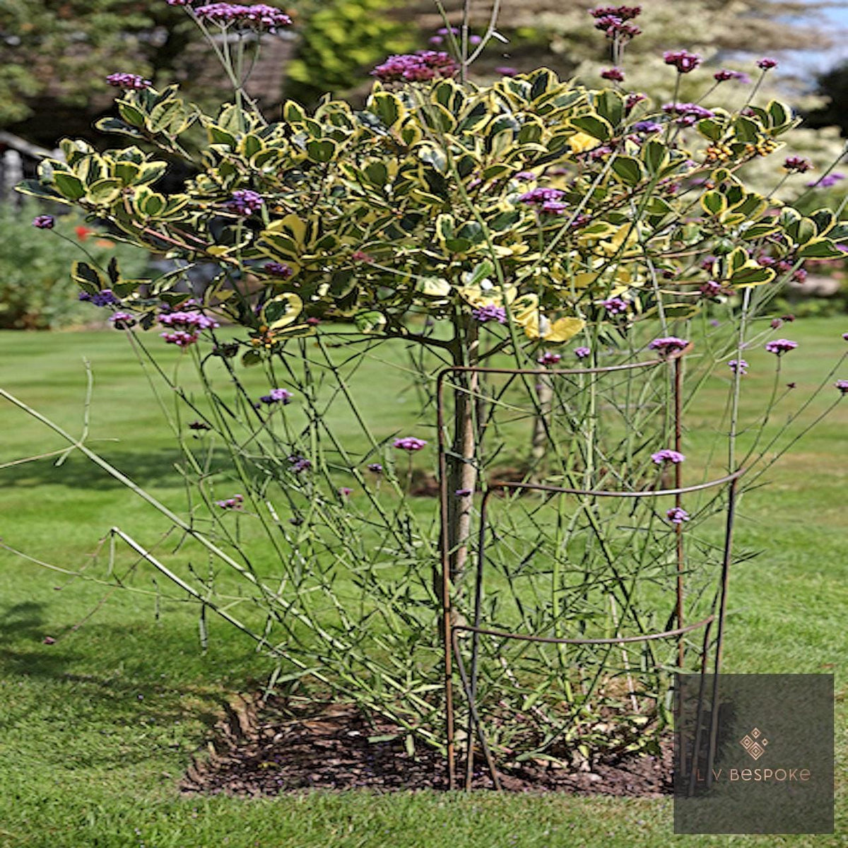 Set of 6 - 400mm wide metal plant supports, mixed heights. Durable and discrete. - English Country Gardens