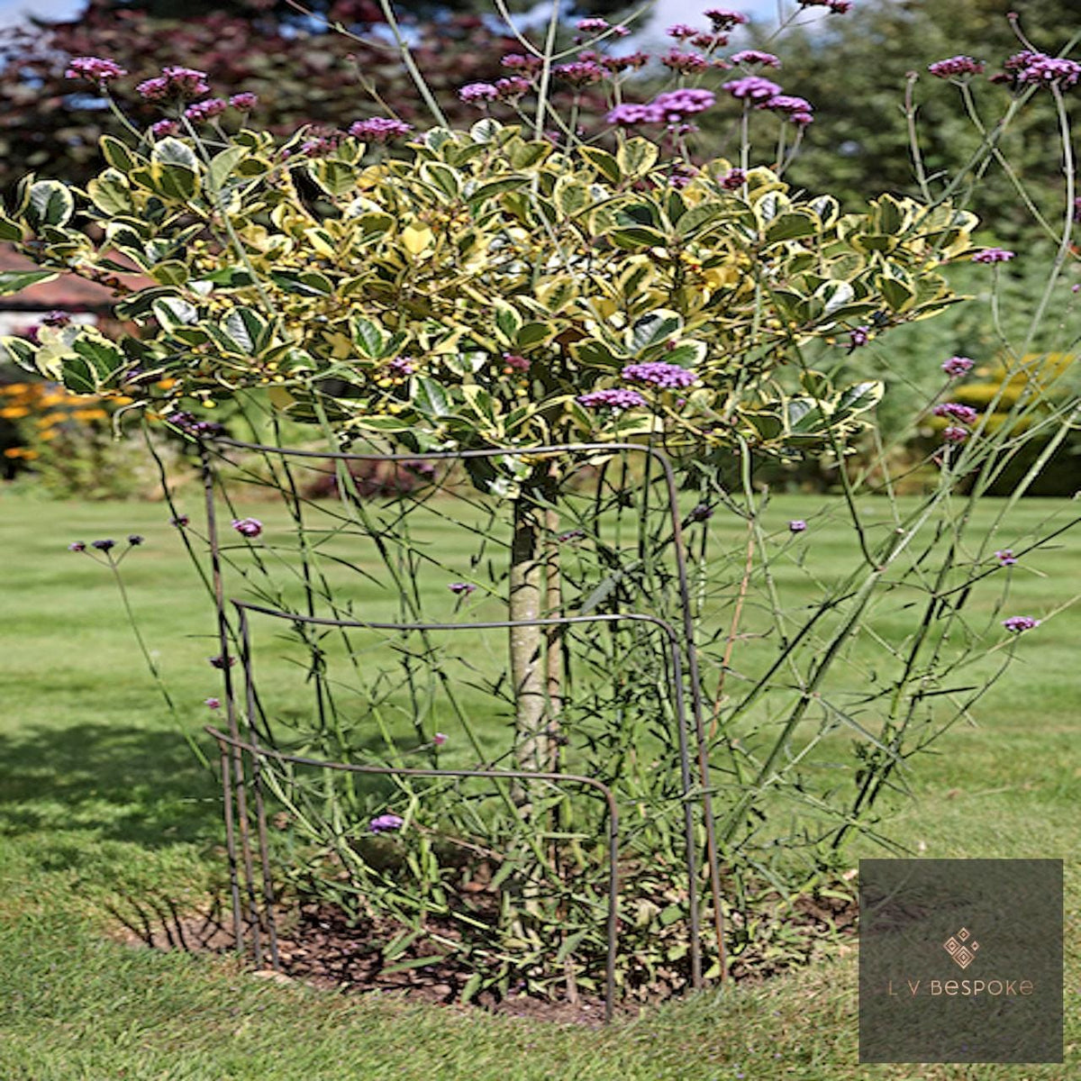Set of 6 - 500mm wide metal plant supports, mixed heights. Durable and discrete. - English Country Gardens