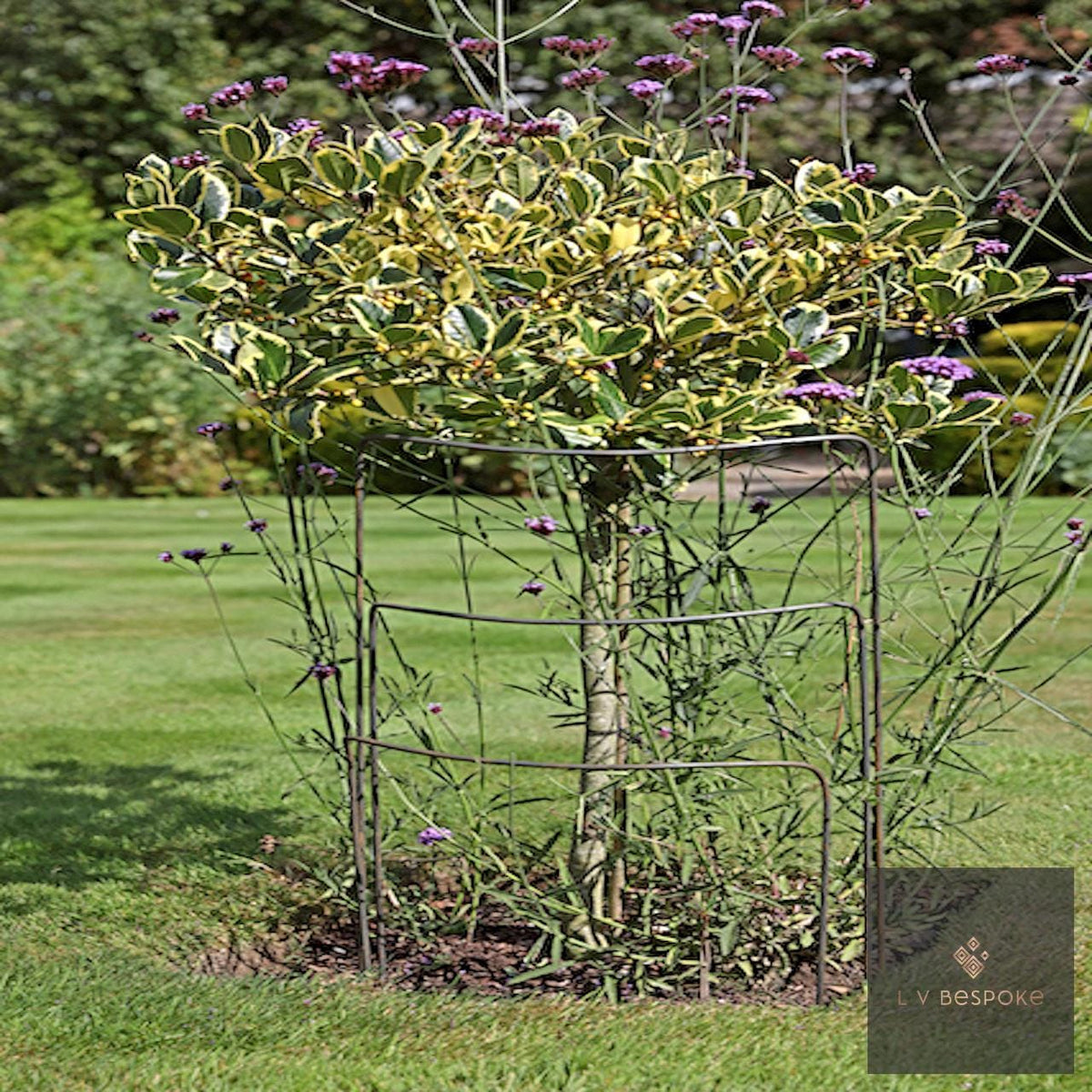 Set of 6 - 500mm wide metal plant supports, mixed heights. Durable and discrete. - English Country Gardens