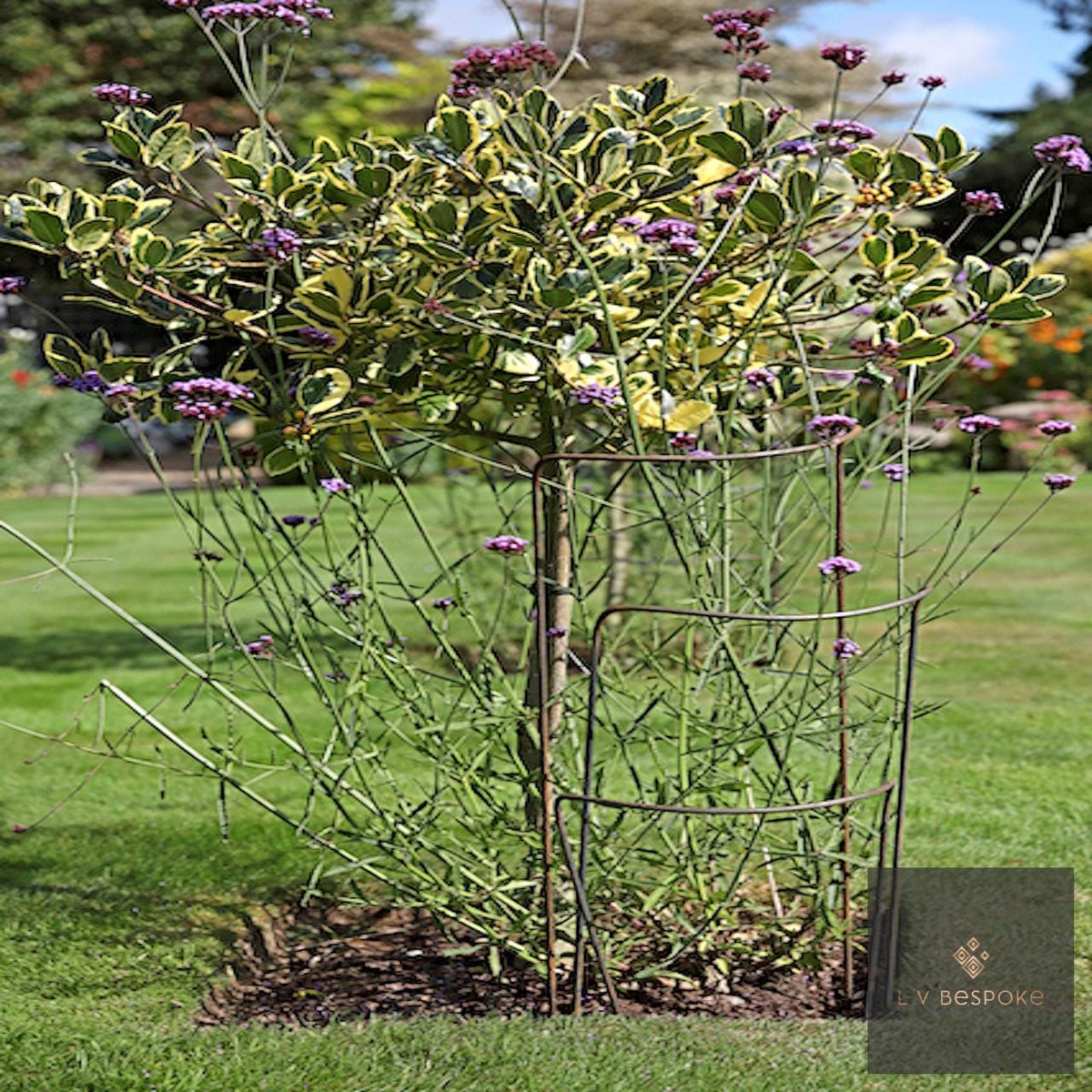 Set of 6 - 400mm wide metal plant supports, mixed heights. Durable and discrete. - English Country Gardens