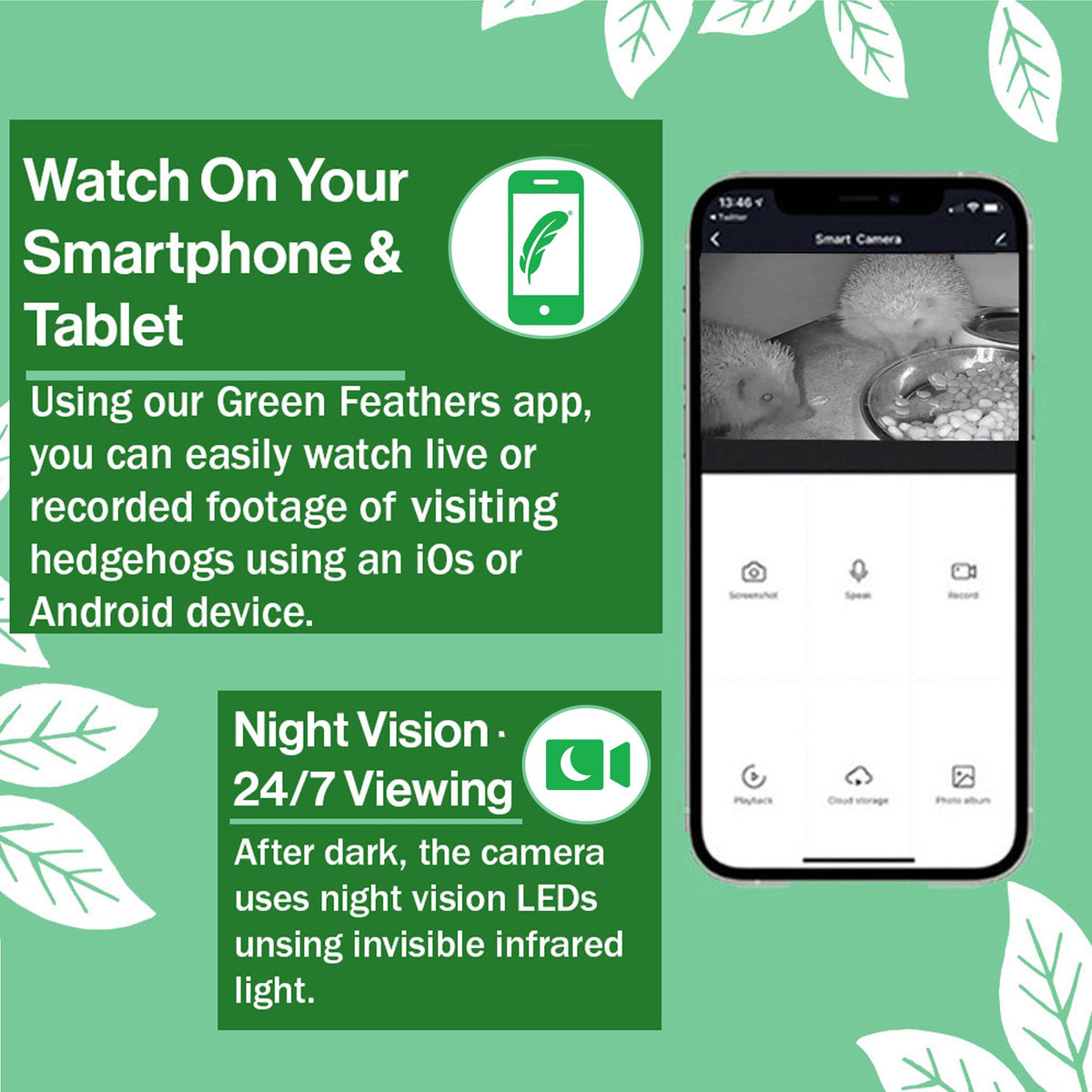 Hedgehog House or Feeding Station with 1080p WiFi Camera - English Country Gardens