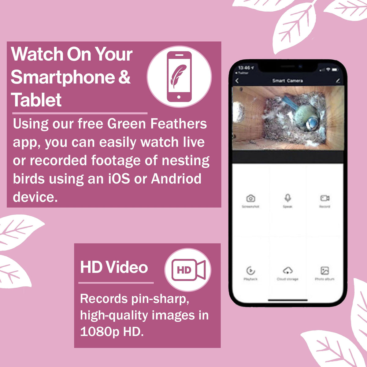 1080p Wired Bird Box & Wildlife Camera with 64GB Card - English Country Gardens