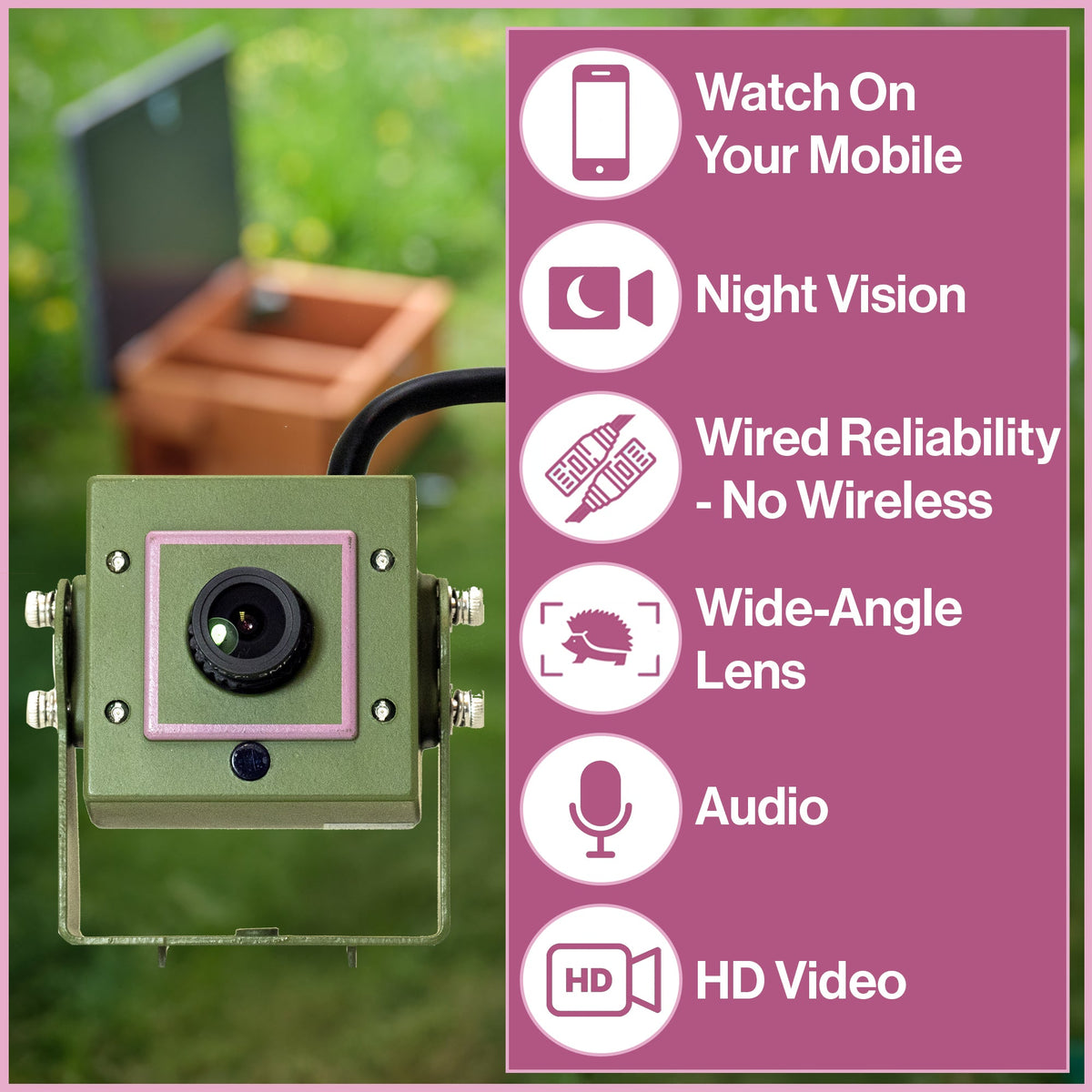 4MP 25fps Wired Network Hedgehog Box HD Camera Pack (2nd Gen) - English Country Gardens