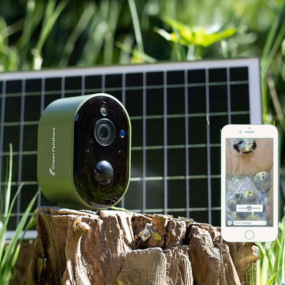 Solar Powered WiFi HD Camera for Bird Box & Wildlife Habitats - English Country Gardens